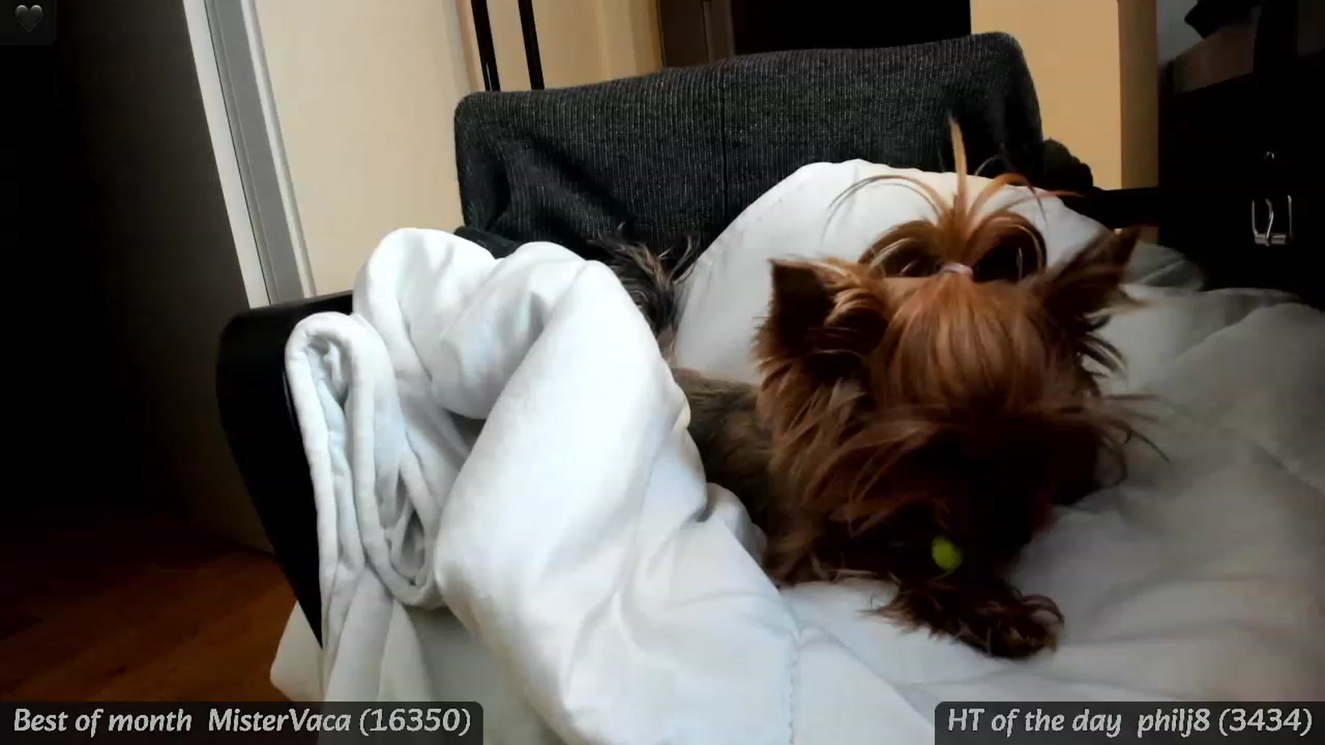 Gallery image thumbnail from BdayMi_Ha's myfreecams stream on, 01/19/2024, 17:31 image 18 of 20