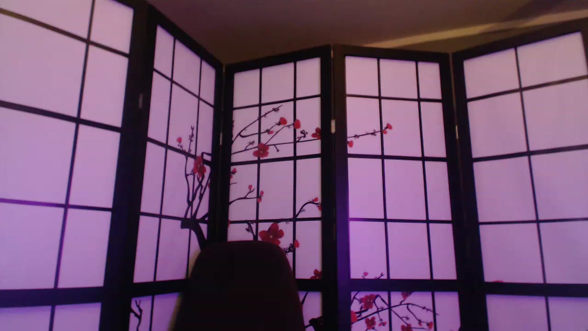 Gallery image thumbnail from BdayPanda's myfreecams stream on, 06/19/2023, 07:22 image 11 of 20