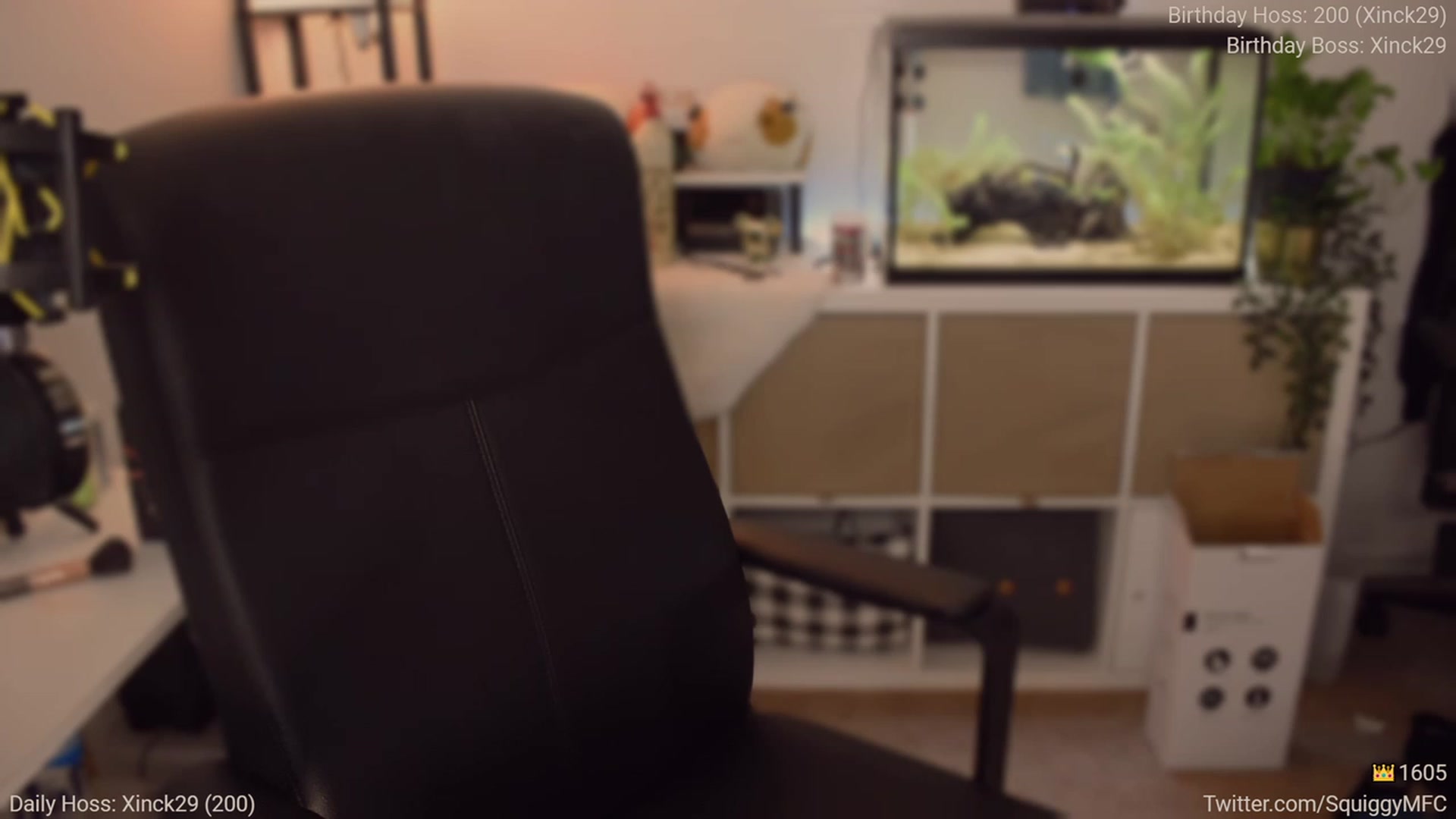 Gallery image thumbnail from BdaySquiggy's myfreecams stream on, 02/02/2023, 05:54 image 11 of 20