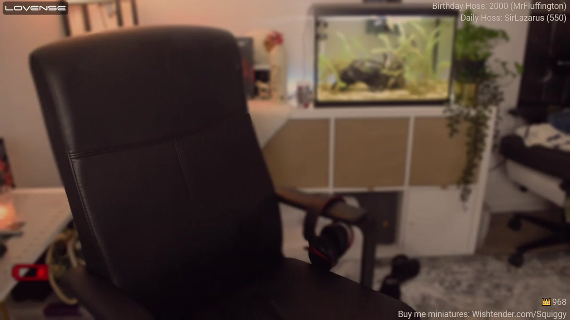 Gallery image thumbnail from BdaySquiggy's myfreecams stream on, 02/14/2023, 05:20 image 14 of 20