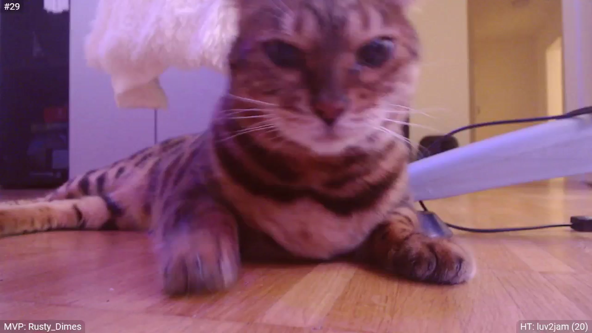 Gallery image thumbnail from BdayStacy's myfreecams stream on, 06/30/2024, 21:02 image 20 of 20