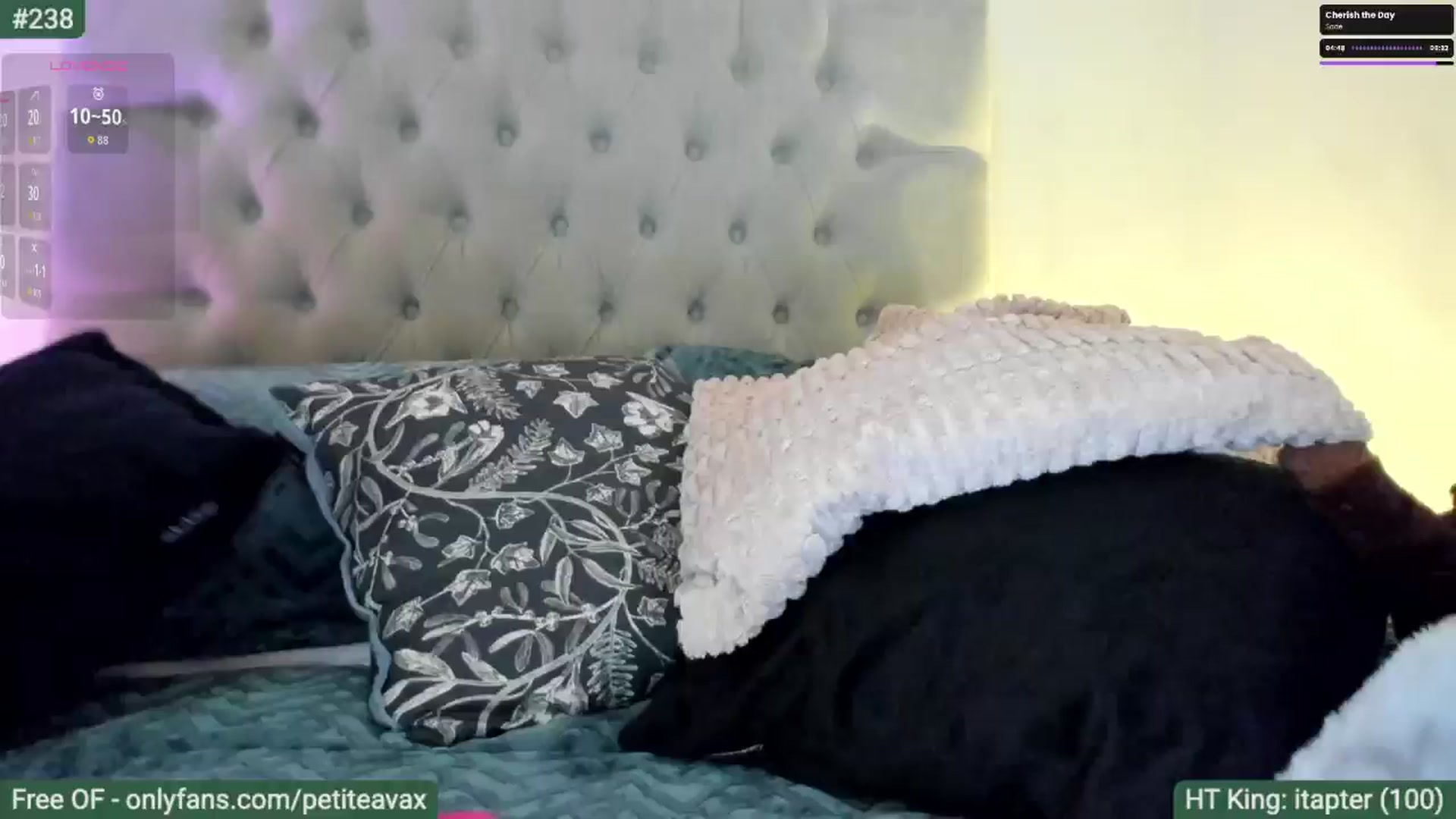 Gallery image thumbnail from Bday_Ava's myfreecams stream on, 01/18/2026, 17:14 image 3 of 20