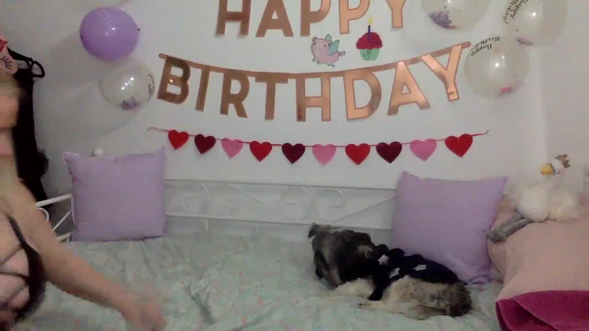 Gallery image thumbnail from Bday_Khloe's myfreecams stream on, 04/01/2024, 13:49 image 7 of 20