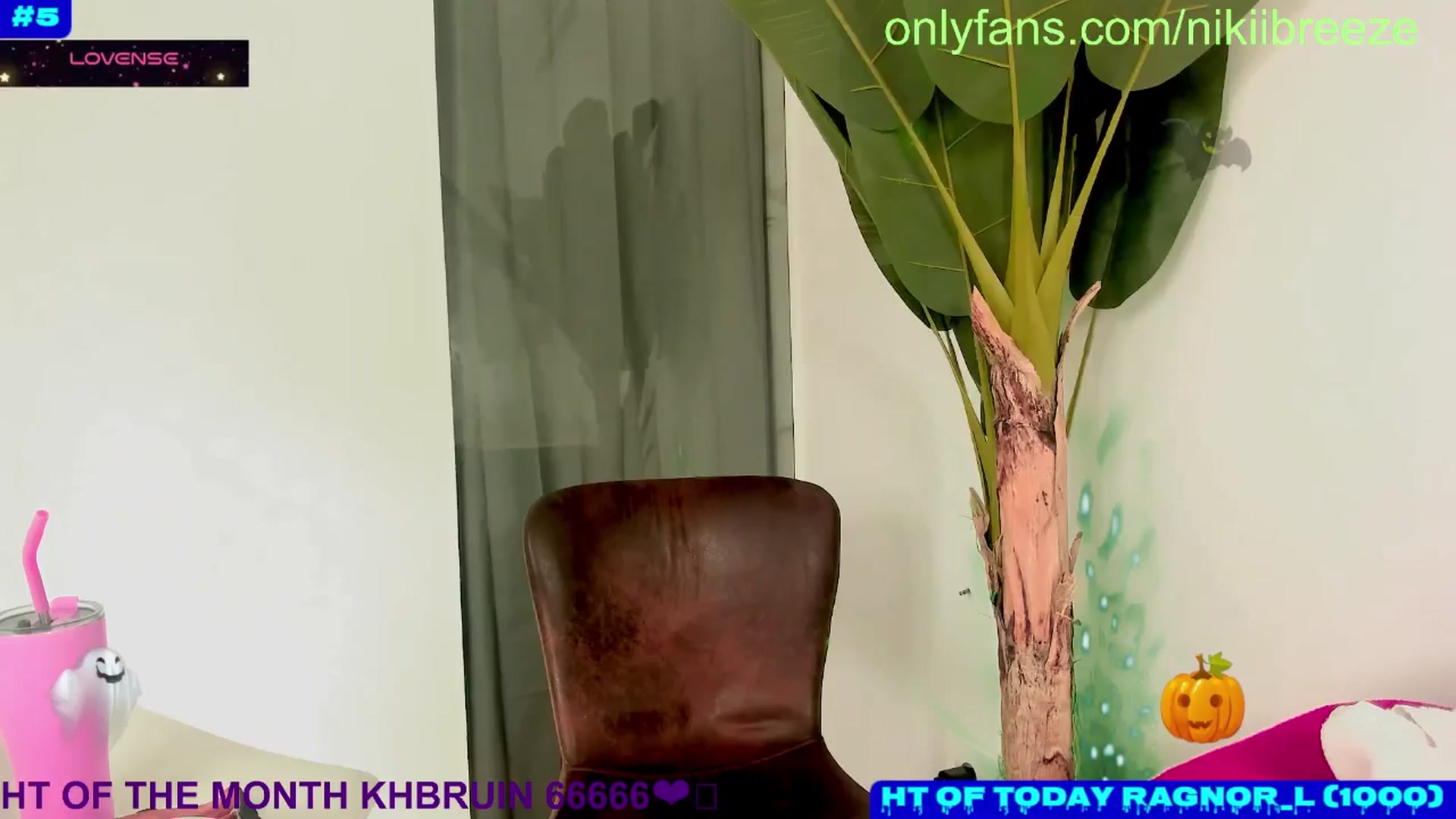 Gallery image thumbnail from Bday_N's myfreecams stream on, 10/24/2024, 24:06 image 12 of 20
