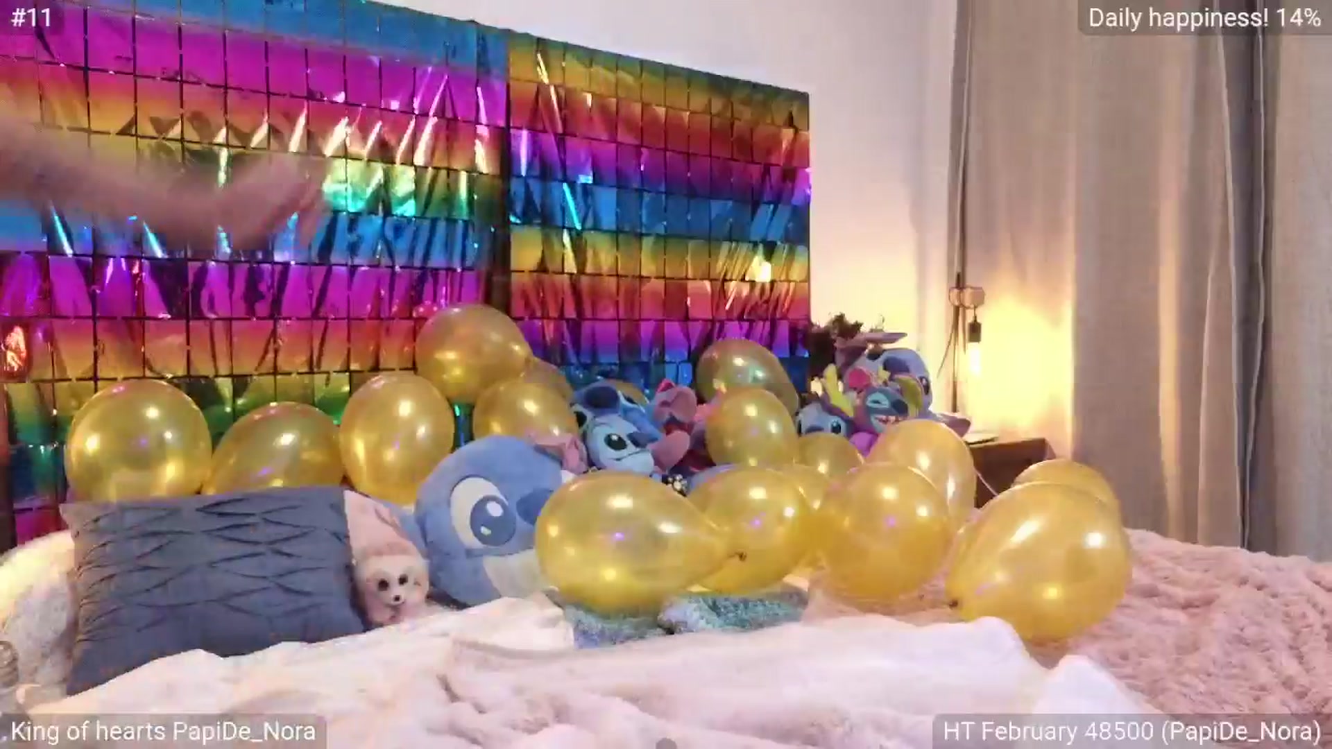 Gallery image thumbnail from Bday_Nora's myfreecams stream on, 03/01/2025, 03:08 image 4 of 20