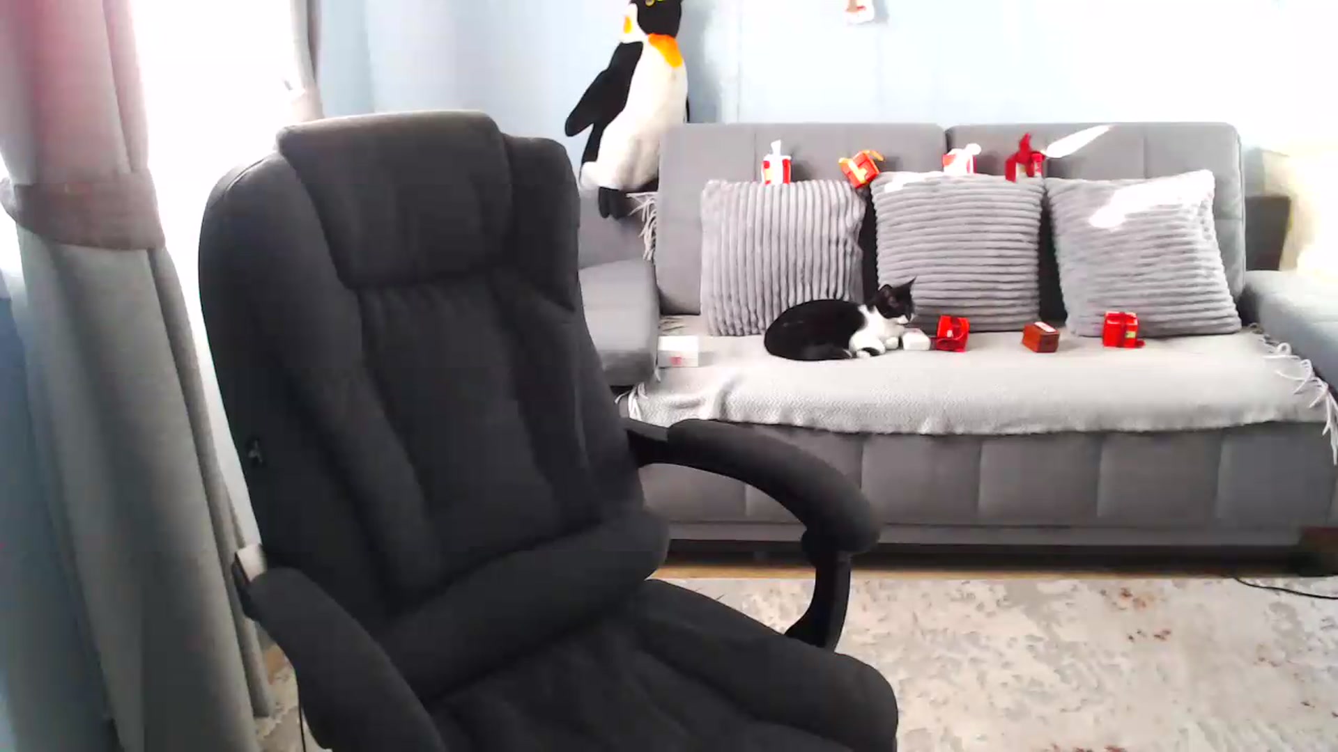 Gallery image thumbnail from Bday_Sicille's myfreecams stream on, 06/19/2026, 18:09 image 3 of 20