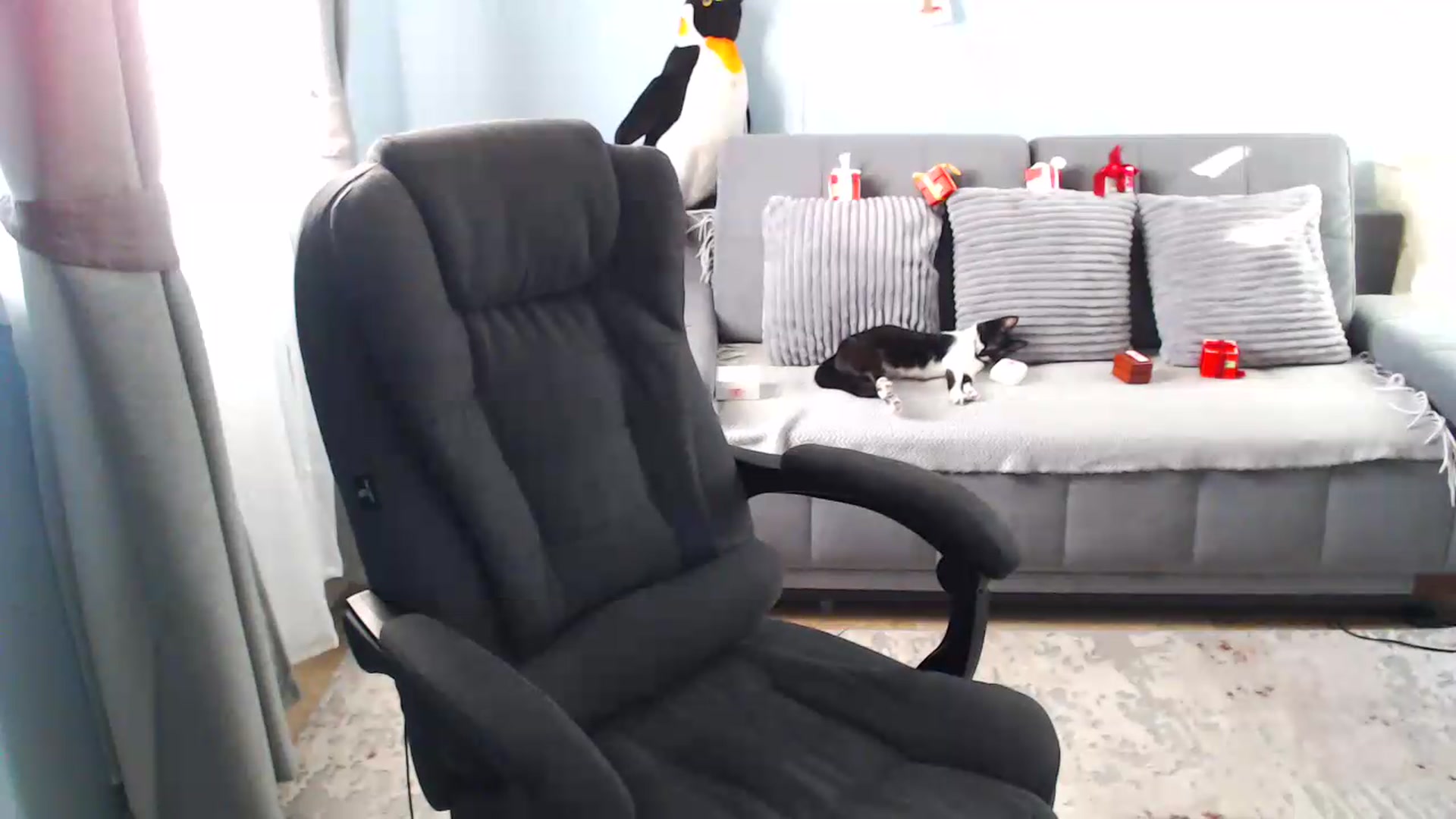 Gallery image thumbnail from Bday_Sicille's myfreecams stream on, 06/19/2026, 18:09 image 10 of 20