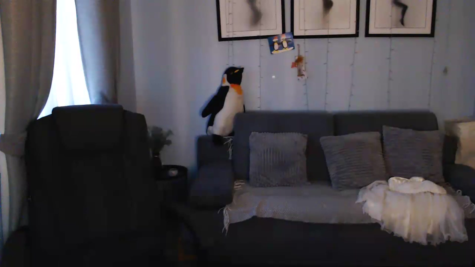 Gallery image thumbnail from Bday_Sicille's myfreecams stream on, 06/19/2026, 20:25 image 7 of 20