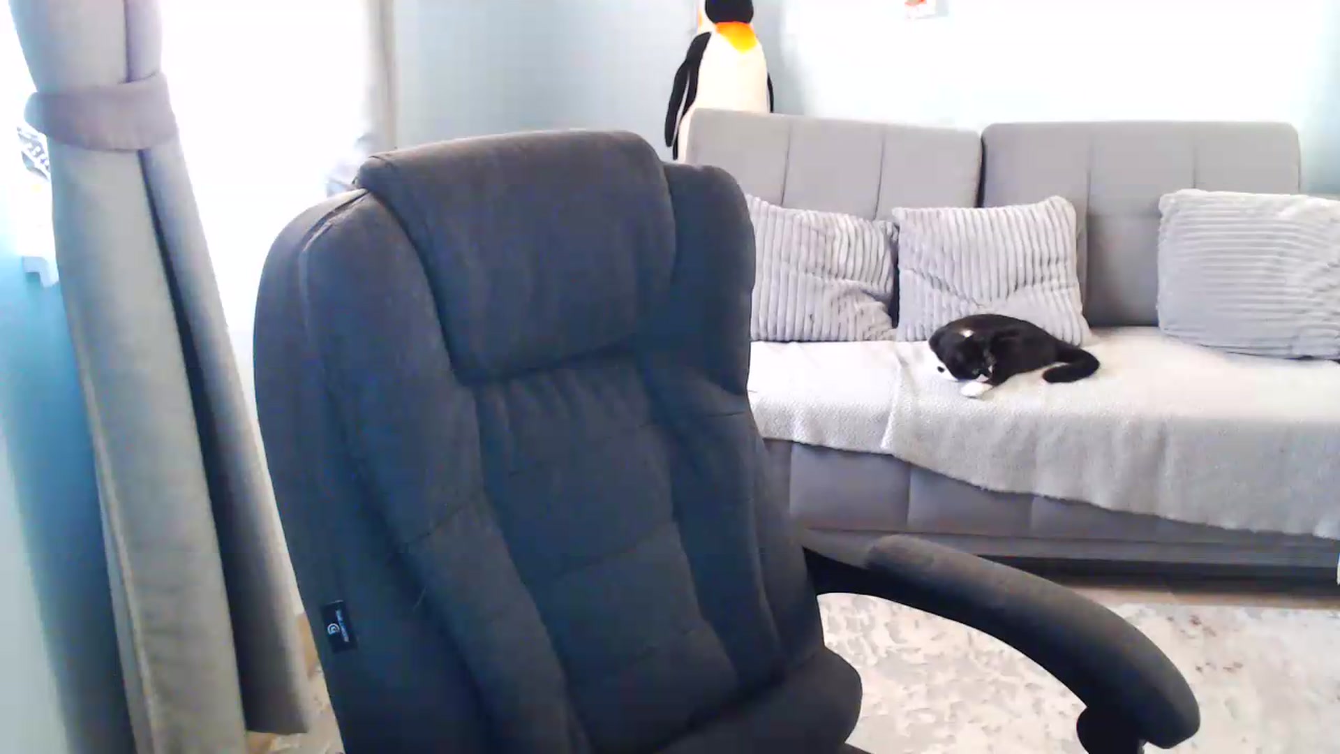 Gallery image thumbnail from Bday_Sicille's myfreecams stream on, 07/06/2026, 19:00 image 18 of 20