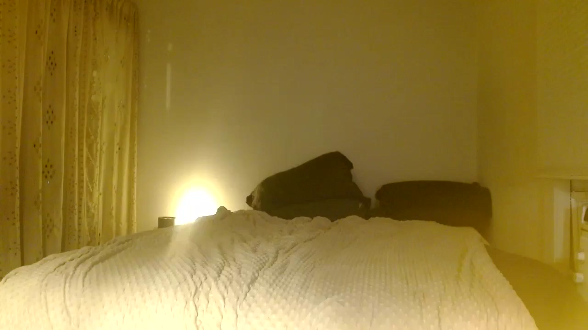 Gallery image thumbnail from Bdaymuffin's myfreecams stream on, 08/30/2024, 06:16 image 17 of 20