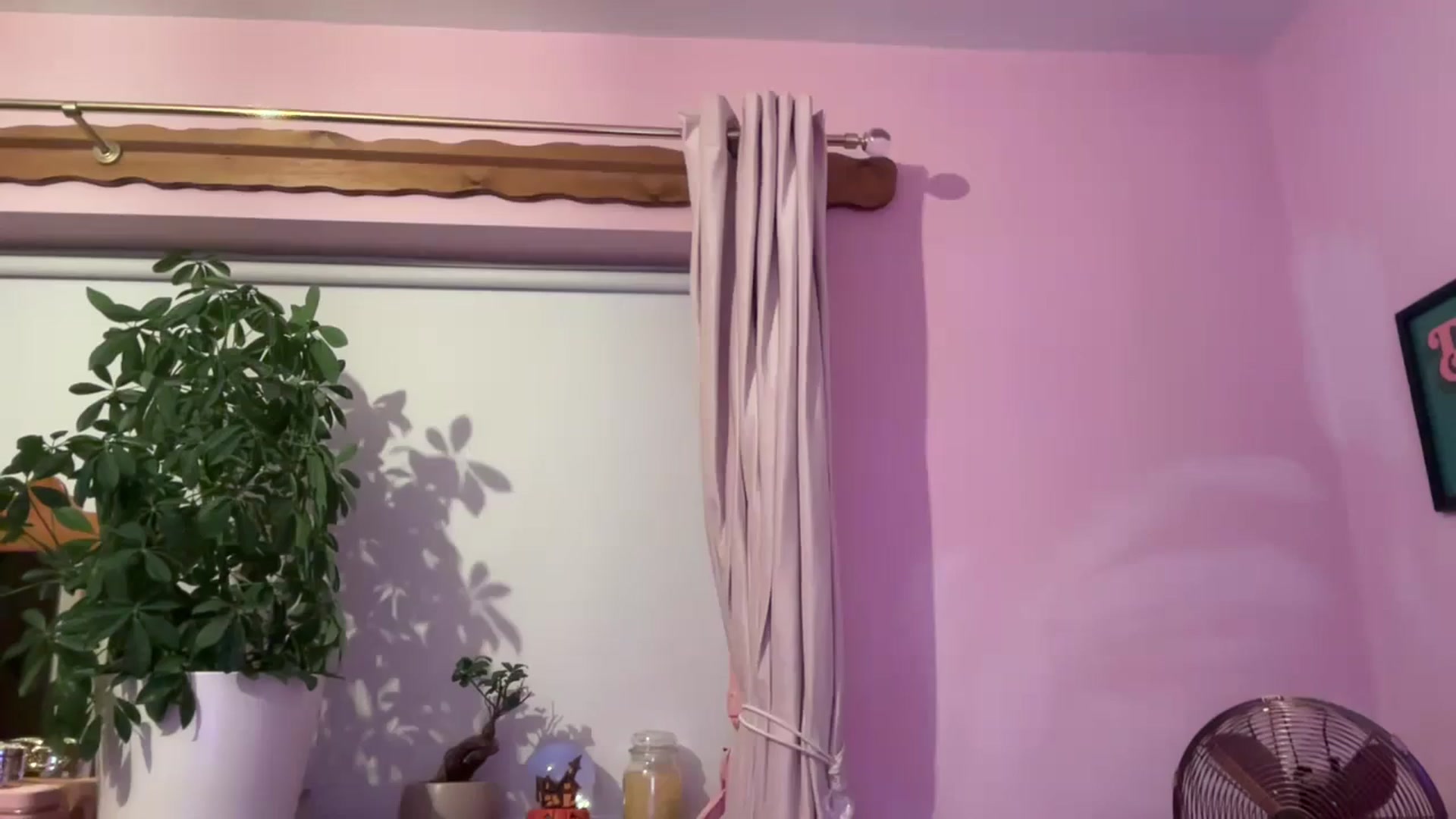 Gallery image thumbnail from Bdaypanda's myfreecams stream on, 11/05/2025, 23:31 image 8 of 20