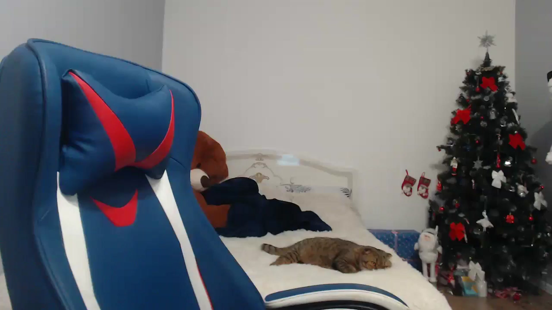 Gallery image thumbnail from Be_beauty's myfreecams stream on, 12/24/2024, 19:45 image 8 of 20