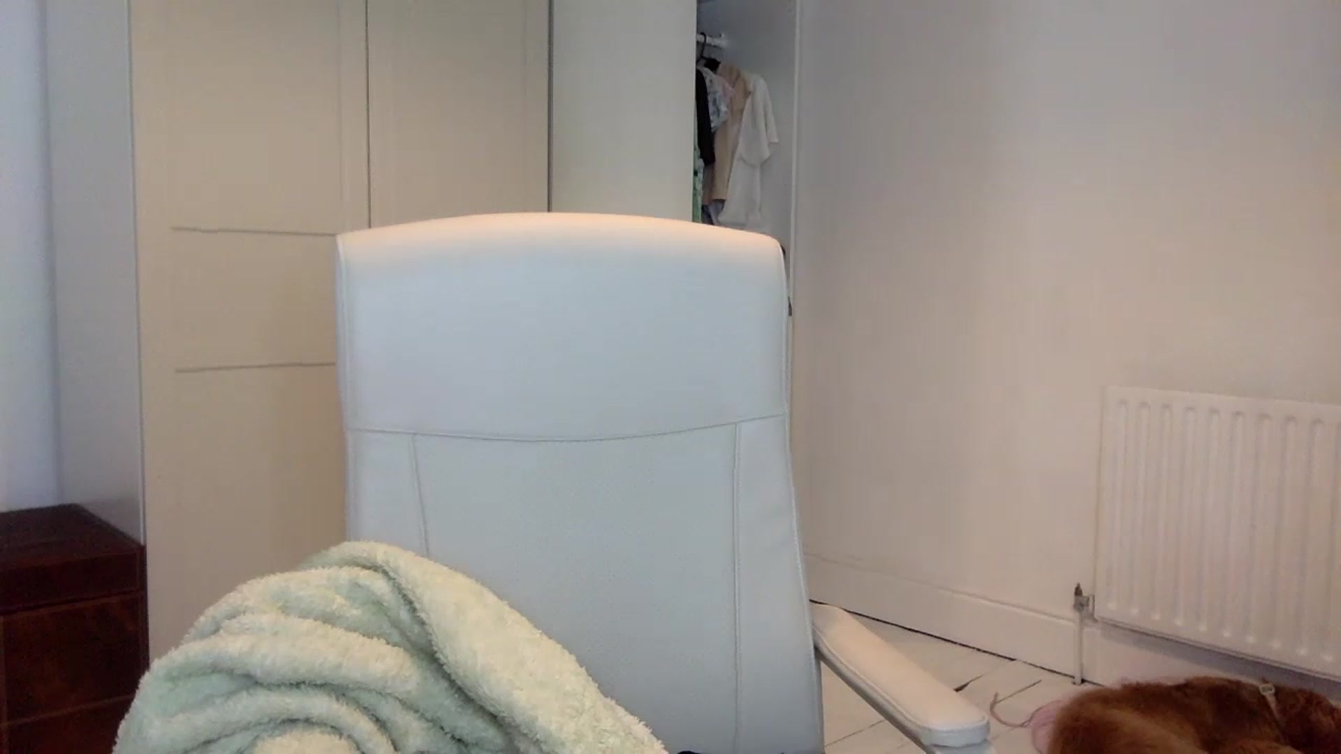 Gallery image thumbnail from BeaSaitou's myfreecams stream on, 11/24/2022, 16:42 image 5 of 20