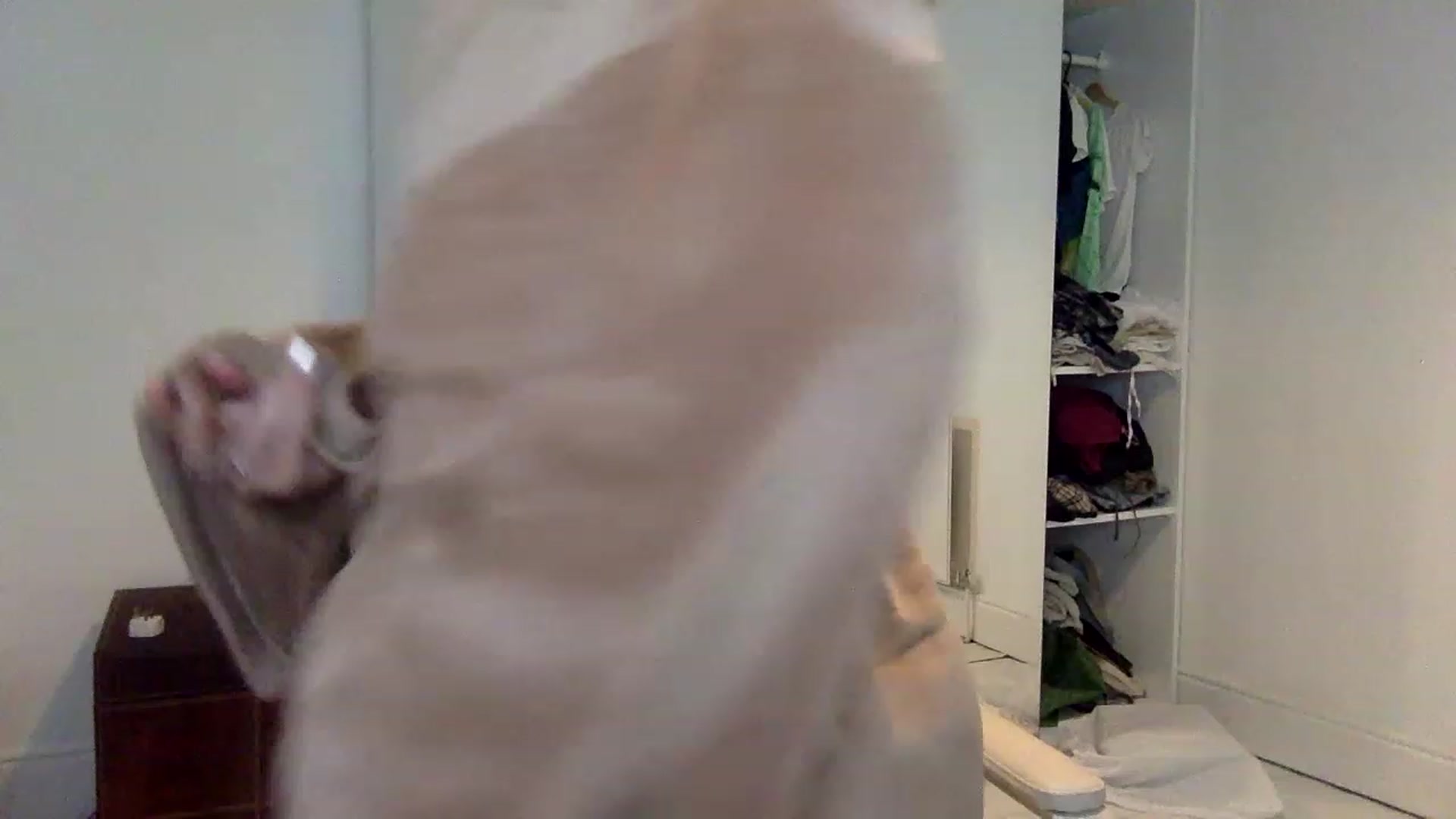 Gallery image thumbnail from BeaSaitou's myfreecams stream on, 01/25/2023, 16:15 image 13 of 20