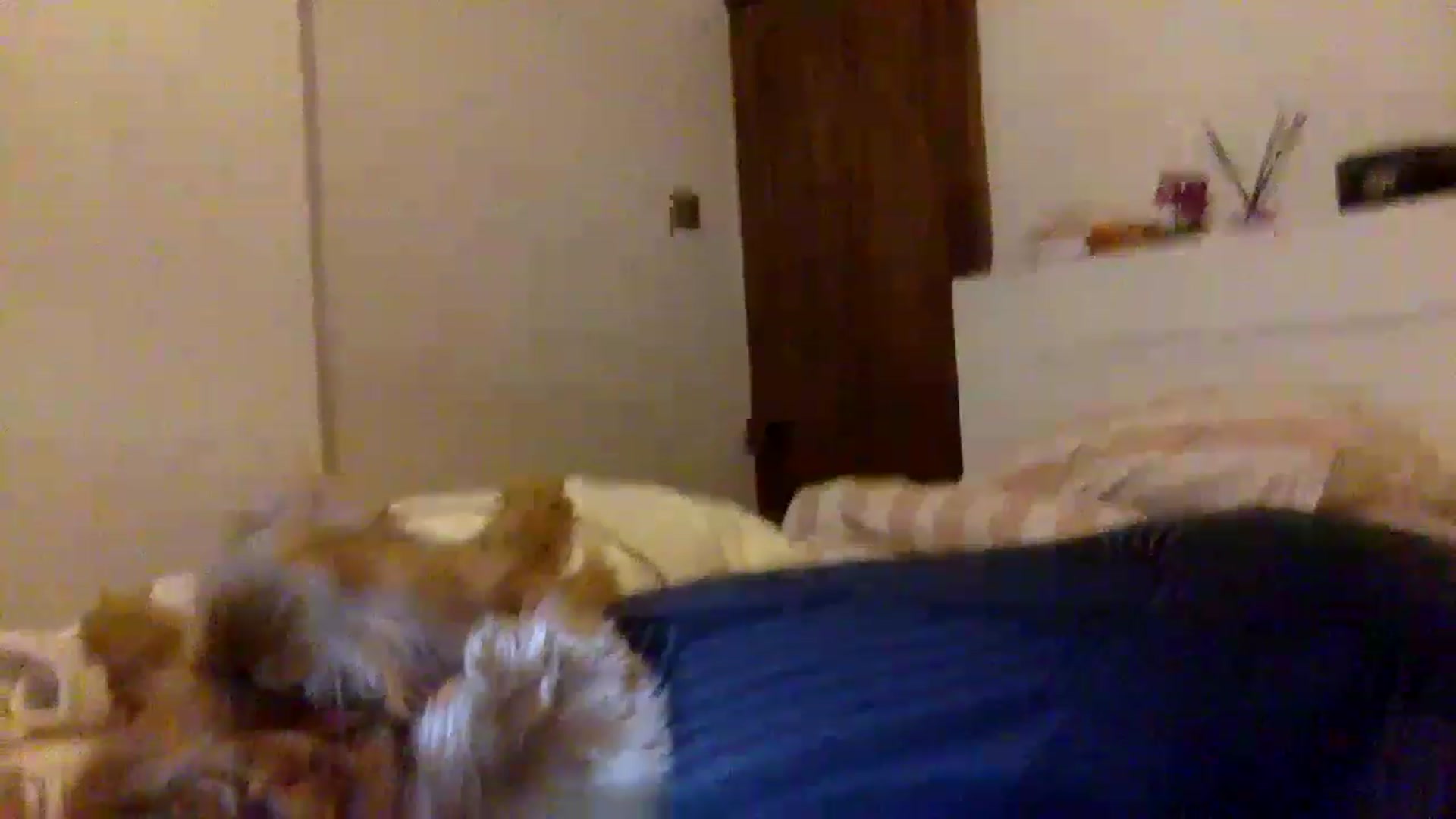 Gallery image thumbnail from BeaSaitou's myfreecams stream on, 01/26/2023, 17:07 image 12 of 20