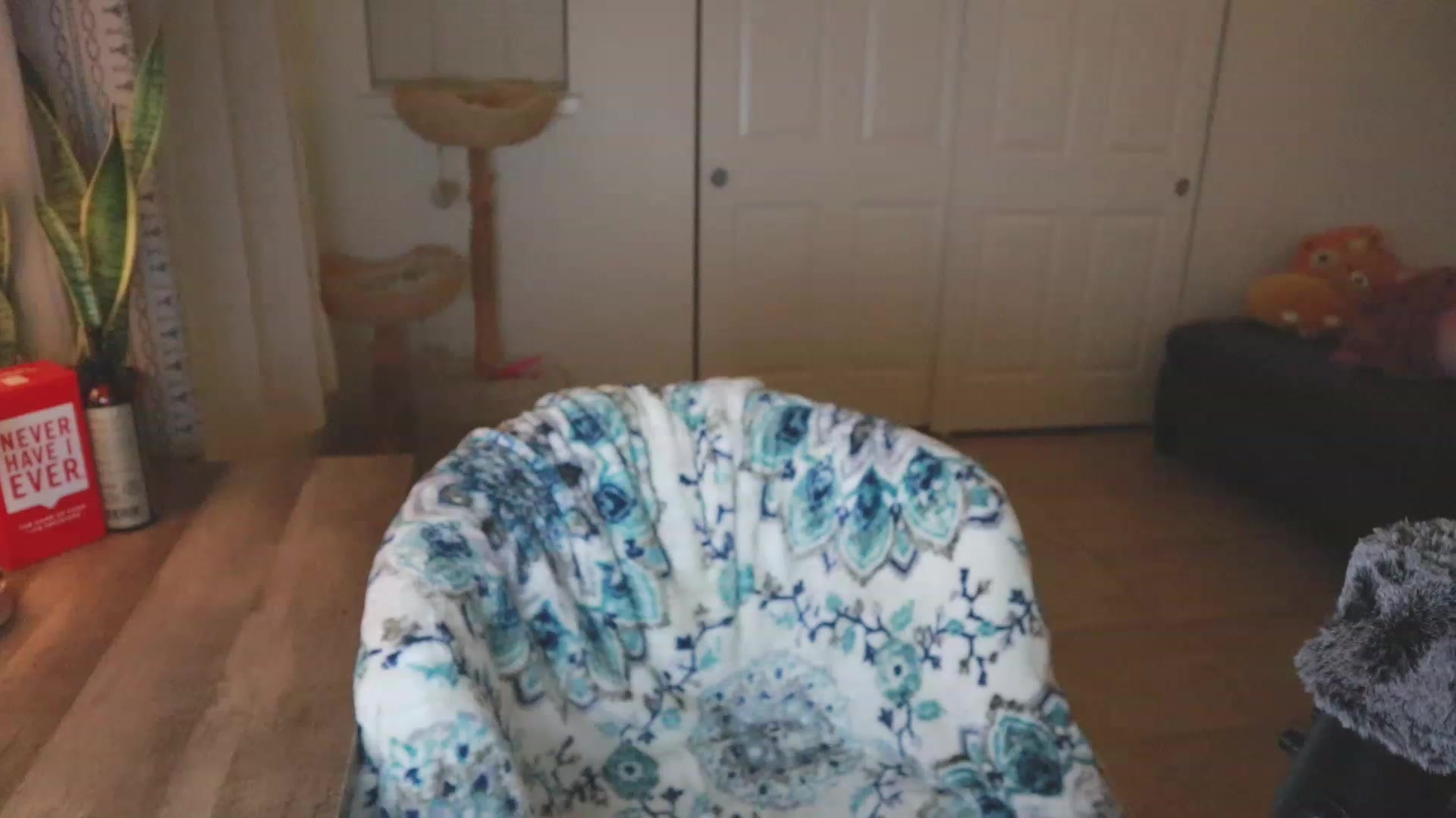Gallery image thumbnail from BeaWolfie's myfreecams stream on, 11/17/2022, 05:48 image 8 of 20