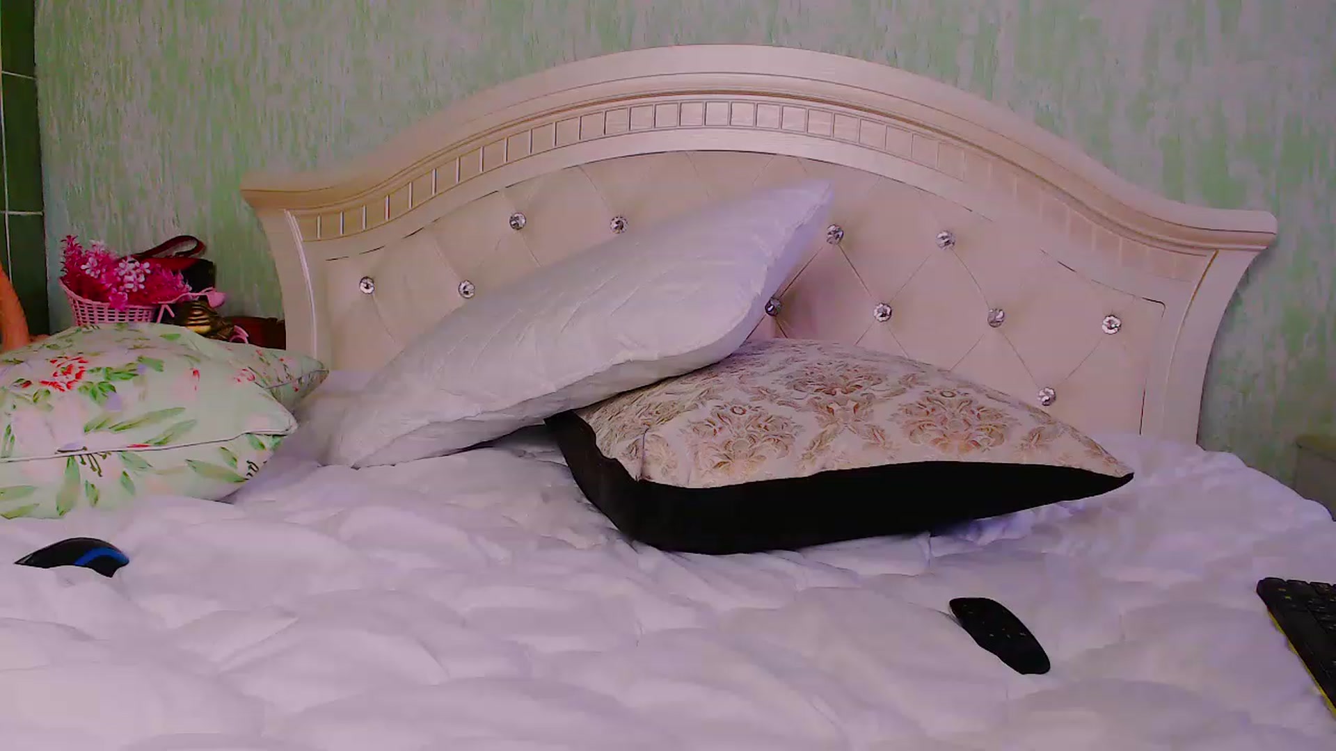 Gallery image thumbnail from BeankaV's myfreecams stream on, 11/24/2022, 10:59 image 18 of 20