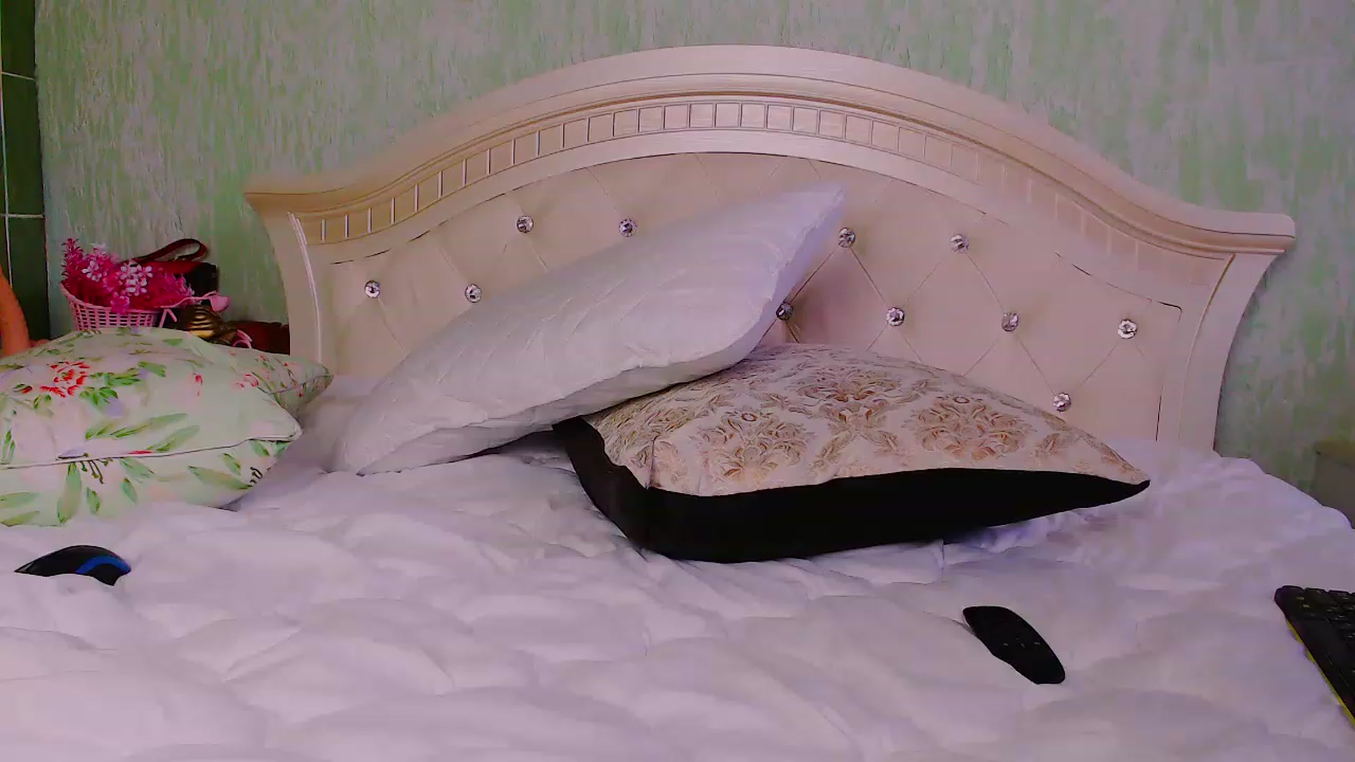 Gallery image thumbnail from BeankaV's myfreecams stream on, 11/24/2022, 10:59 image 16 of 20