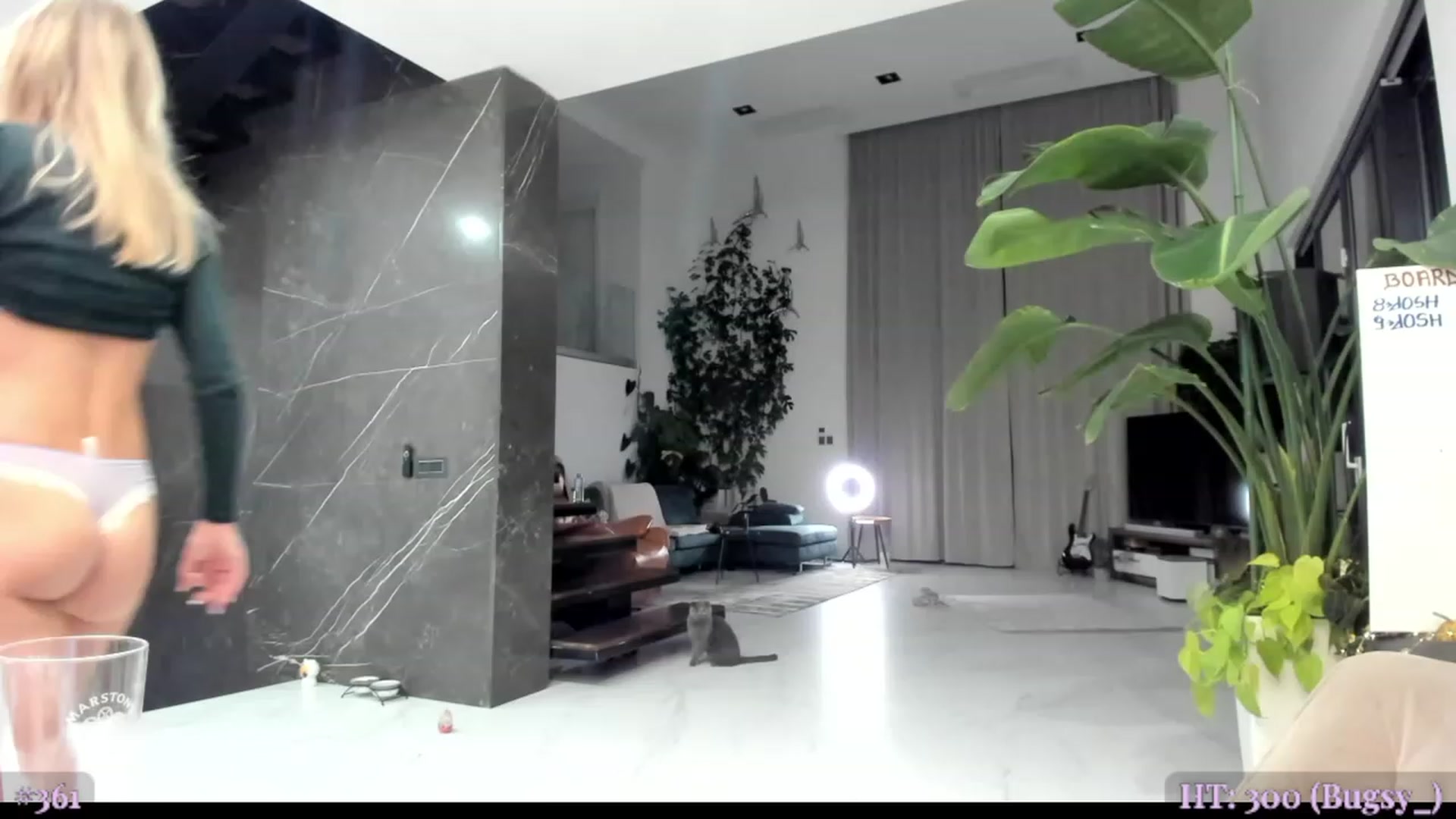 Gallery image thumbnail from BeastJolie's myfreecams stream on, 11/13/2023, 24:14 image 18 of 20
