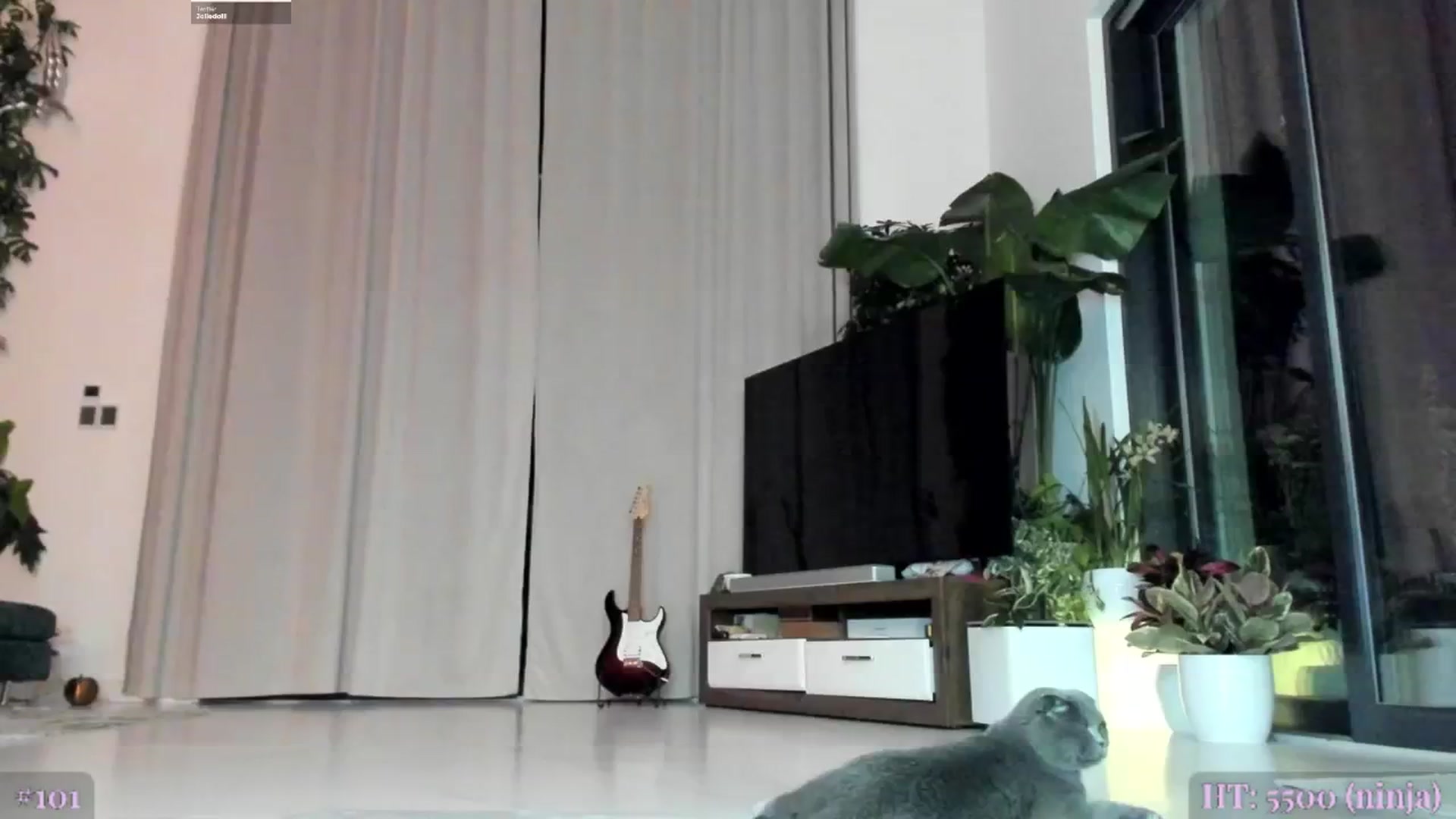 Gallery image thumbnail from BeastJolie's myfreecams stream on, 11/05/2024, 24:03 image 17 of 20