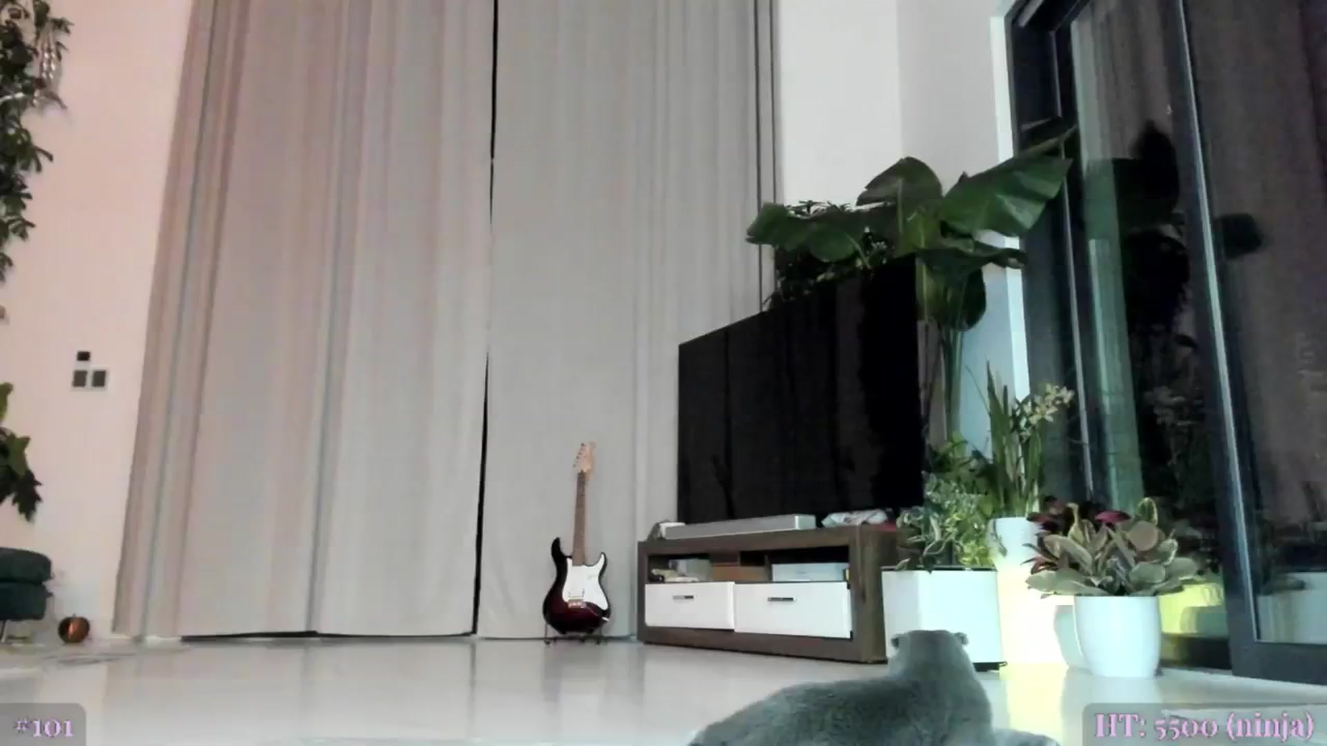 Gallery image thumbnail from BeastJolie's myfreecams stream on, 11/05/2024, 03:28 image 9 of 20