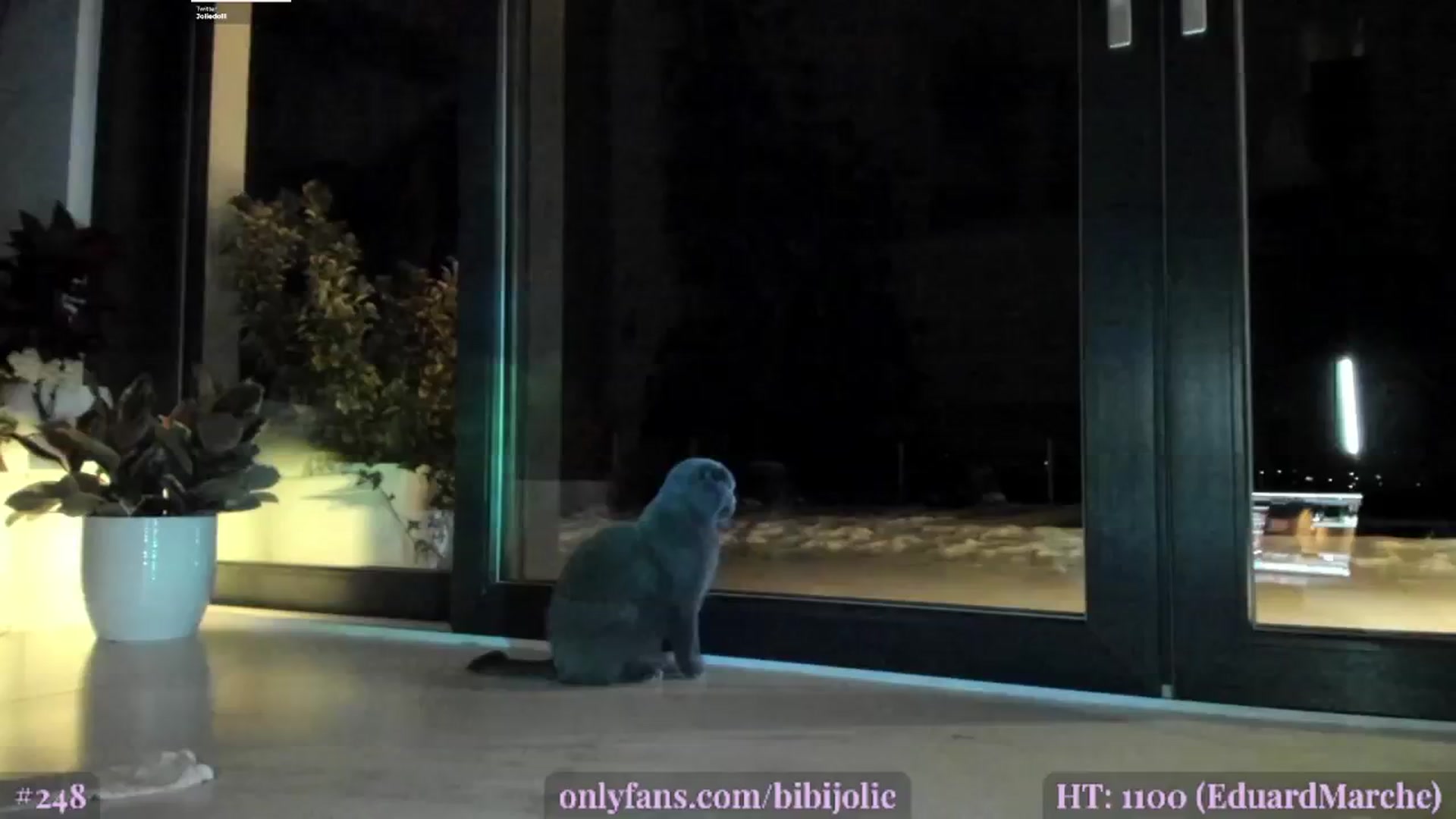 Gallery image thumbnail from BeastJolie's myfreecams stream on, 11/22/2024, 04:59 image 6 of 20