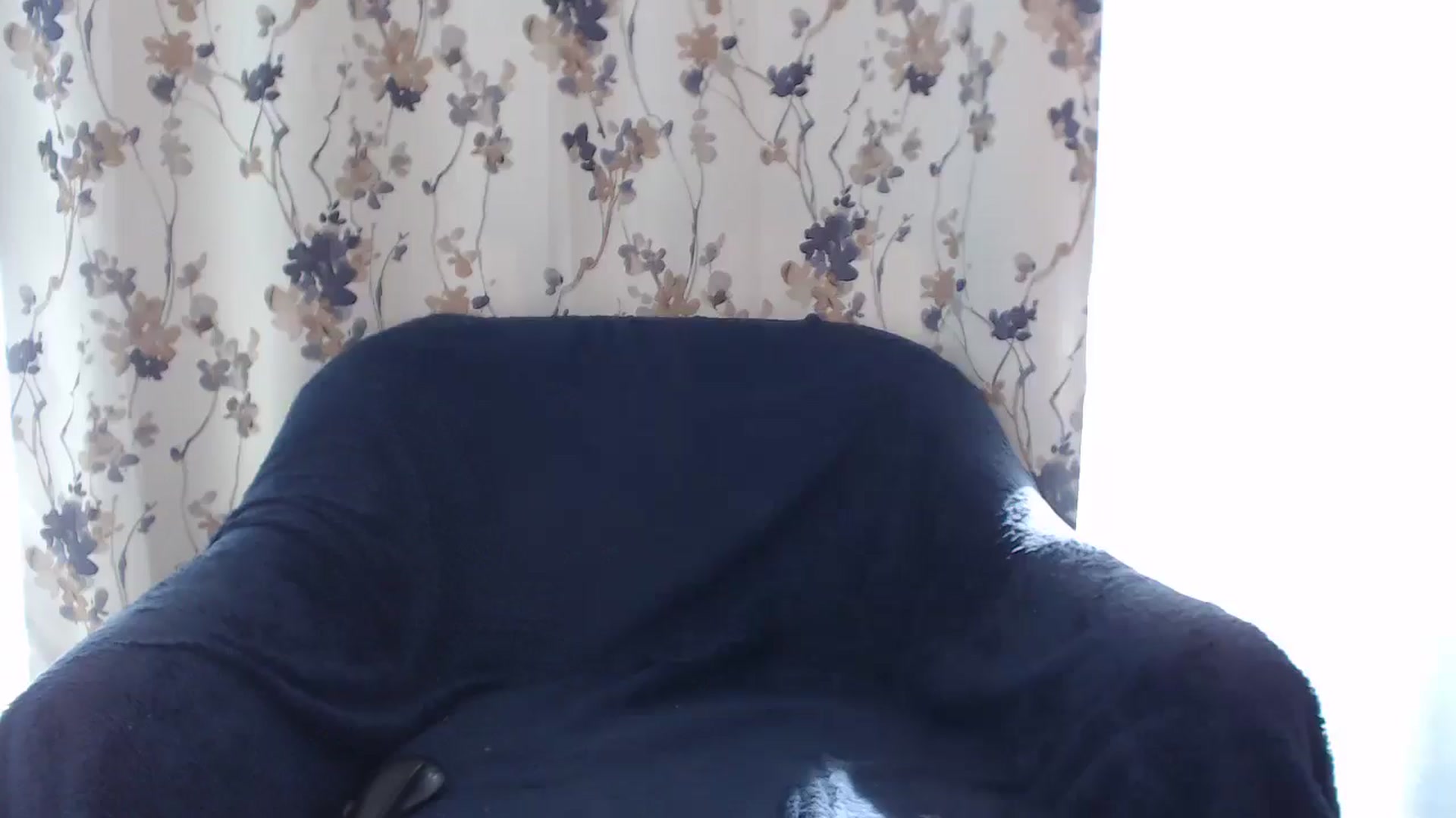 Gallery image thumbnail from BeatriceCapri's myfreecams stream on, 01/30/2025, 10:40 image 1 of 20