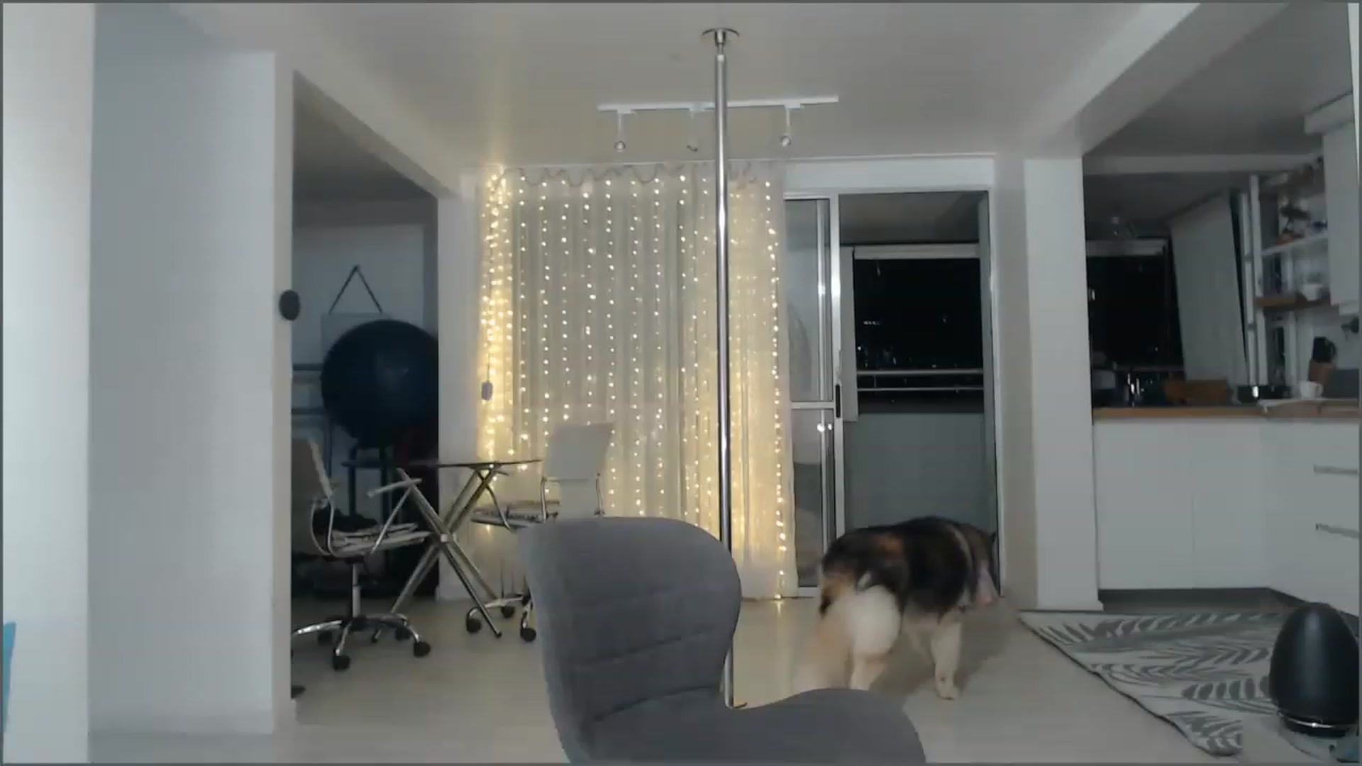 Gallery image thumbnail from Beauty_online's myfreecams stream on, 02/08/2023, 24:48 image 20 of 20