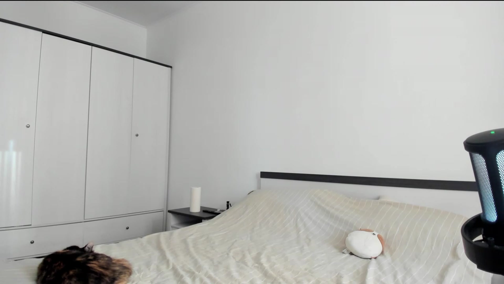 Gallery image thumbnail from BeeTheQueen's myfreecams stream on, 10/06/2023, 14:37 image 14 of 20