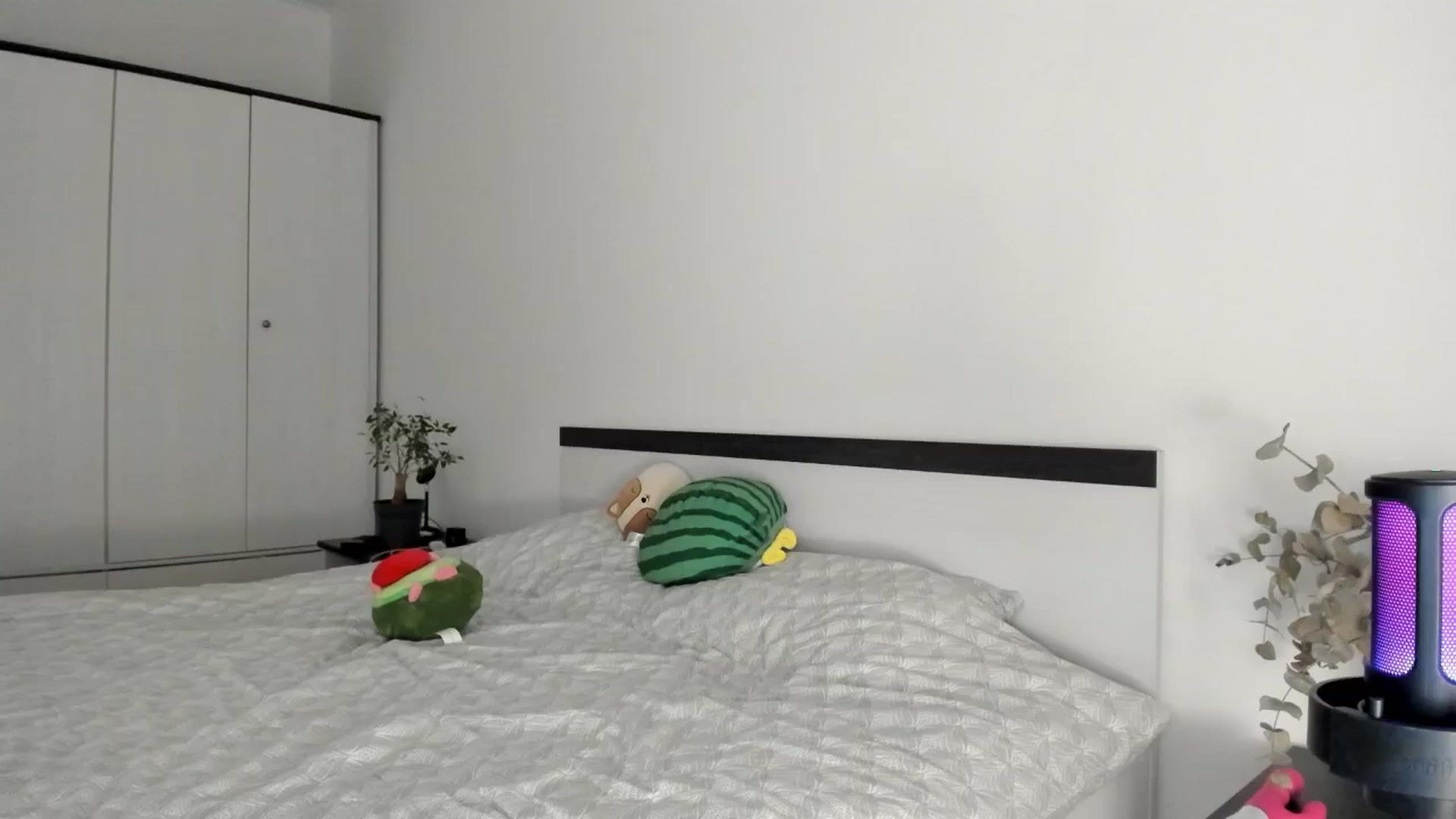Gallery image thumbnail from BeeTheQueen's myfreecams stream on, 11/29/2024, 18:13 image 17 of 20