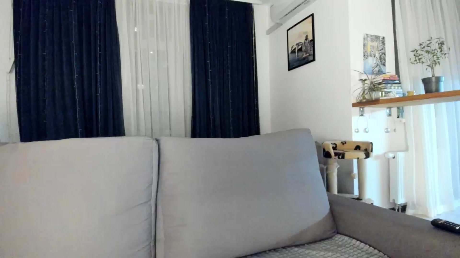 Gallery image thumbnail from BeeTheQueen's myfreecams stream on, 11/09/2025, 16:27 image 4 of 20