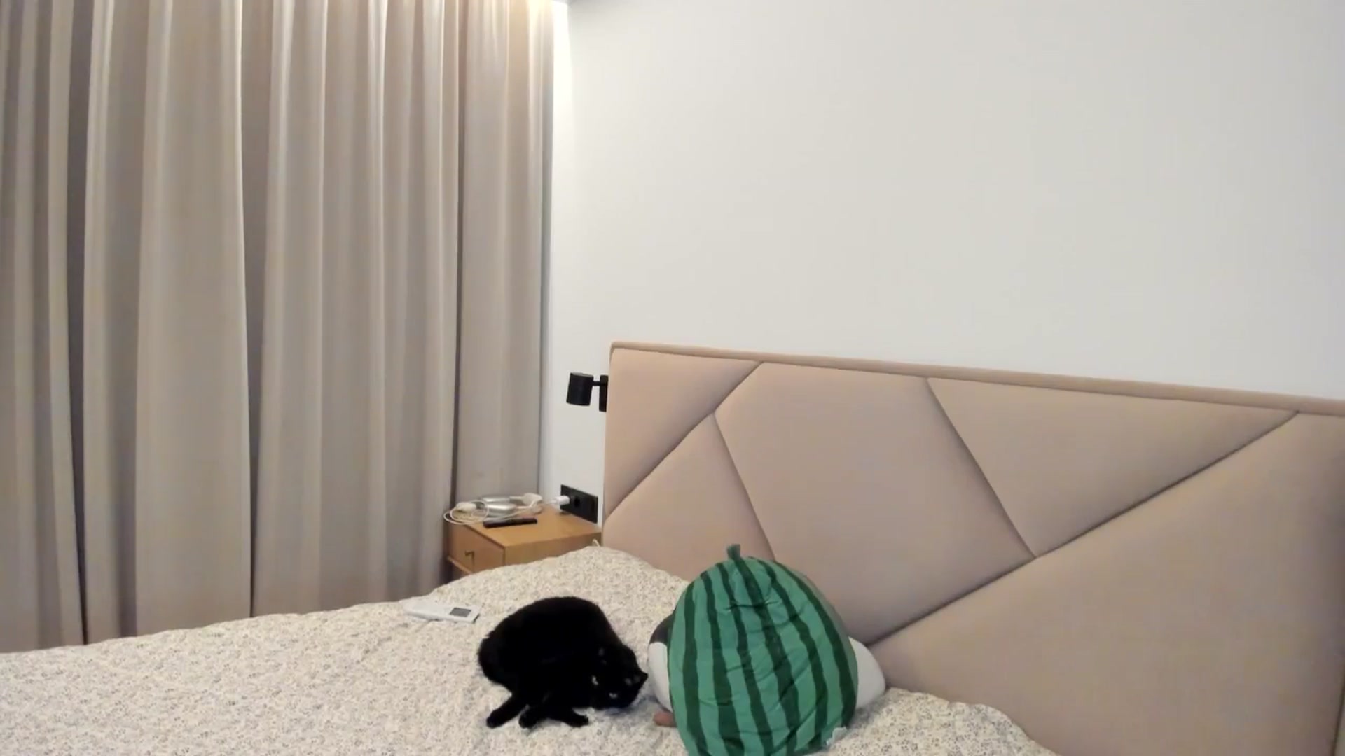 Gallery image thumbnail from BeeTheQueen's myfreecams stream on, 01/03/2026, 17:41 image 18 of 20
