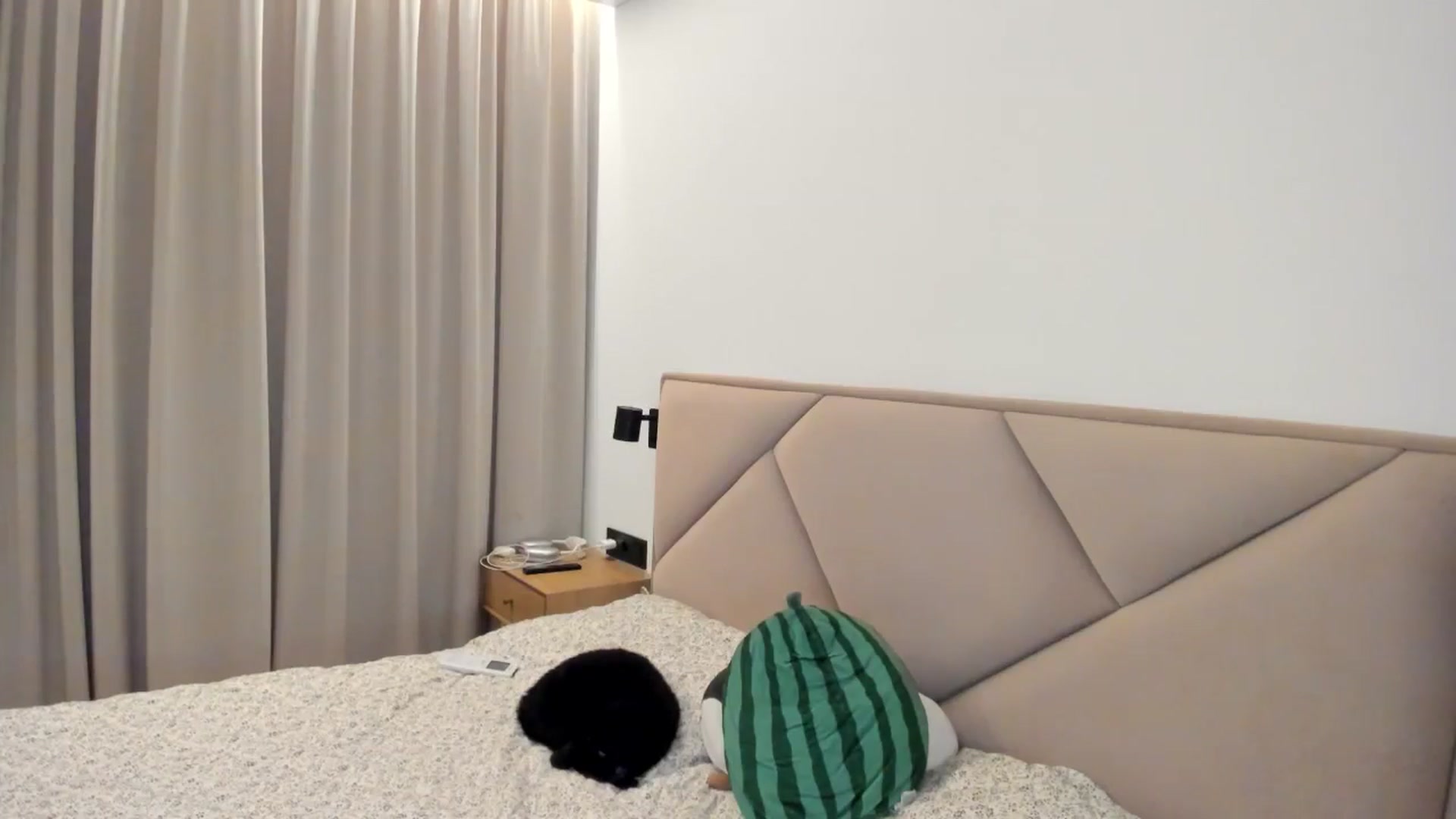 Gallery image thumbnail from BeeTheQueen's myfreecams stream on, 01/03/2026, 17:41 image 17 of 20