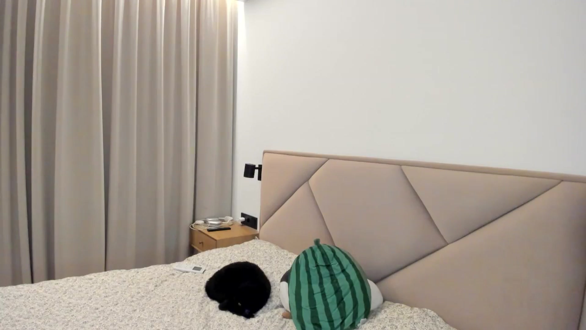 Gallery image thumbnail from BeeTheQueen's myfreecams stream on, 01/03/2026, 17:41 image 16 of 20