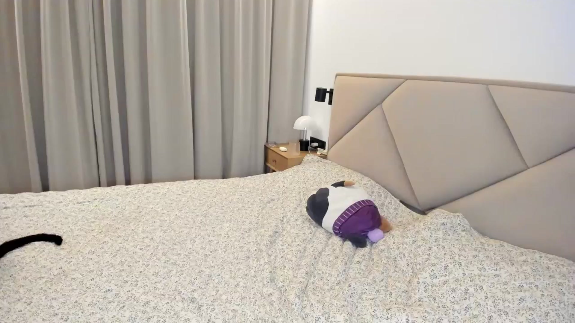 Gallery image thumbnail from BeeTheQueen's myfreecams stream on, 02/01/2026, 20:19 image 14 of 20