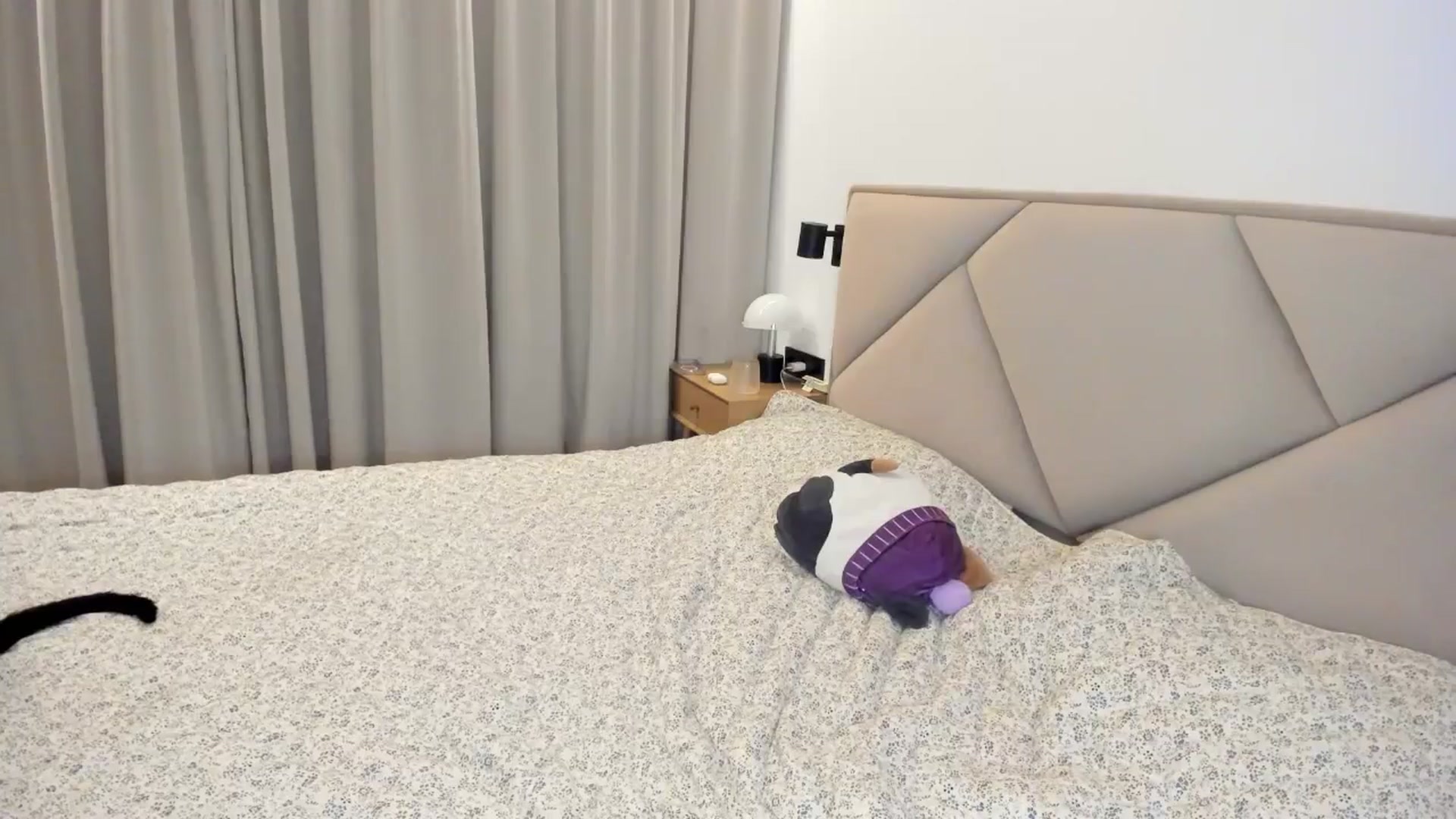 Gallery image thumbnail from BeeTheQueen's myfreecams stream on, 02/01/2026, 20:19 image 12 of 20