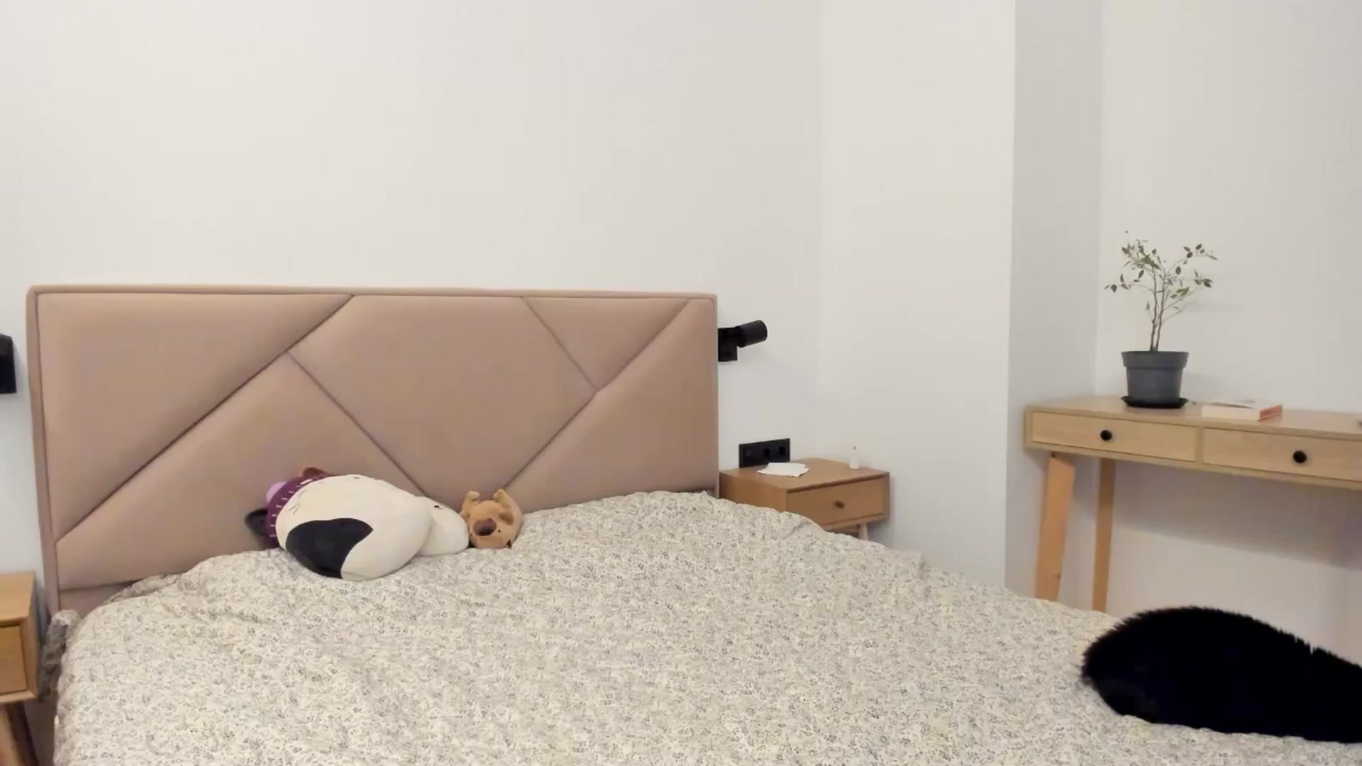 Gallery image thumbnail from BeeTheQueen's myfreecams stream on, 04/30/2026, 20:28 image 6 of 20
