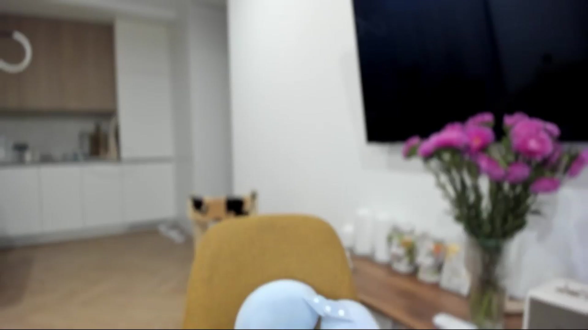 Gallery image thumbnail from BeeTheQueen's myfreecams stream on, 08/31/2026, 18:07 image 11 of 20