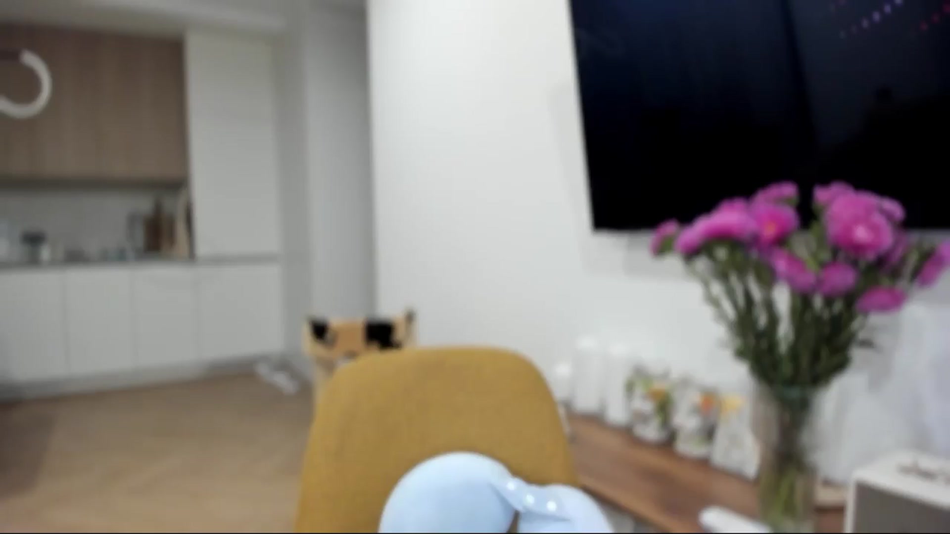 Gallery image thumbnail from BeeTheQueen's myfreecams stream on, 08/31/2026, 18:07 image 12 of 20