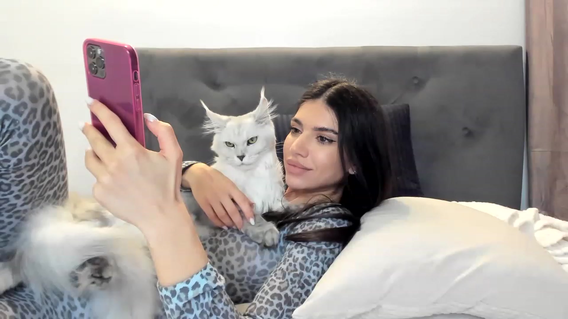 Gallery image thumbnail from Bee_Bee's myfreecams stream on, 01/01/2023, 22:38 image 19 of 20
