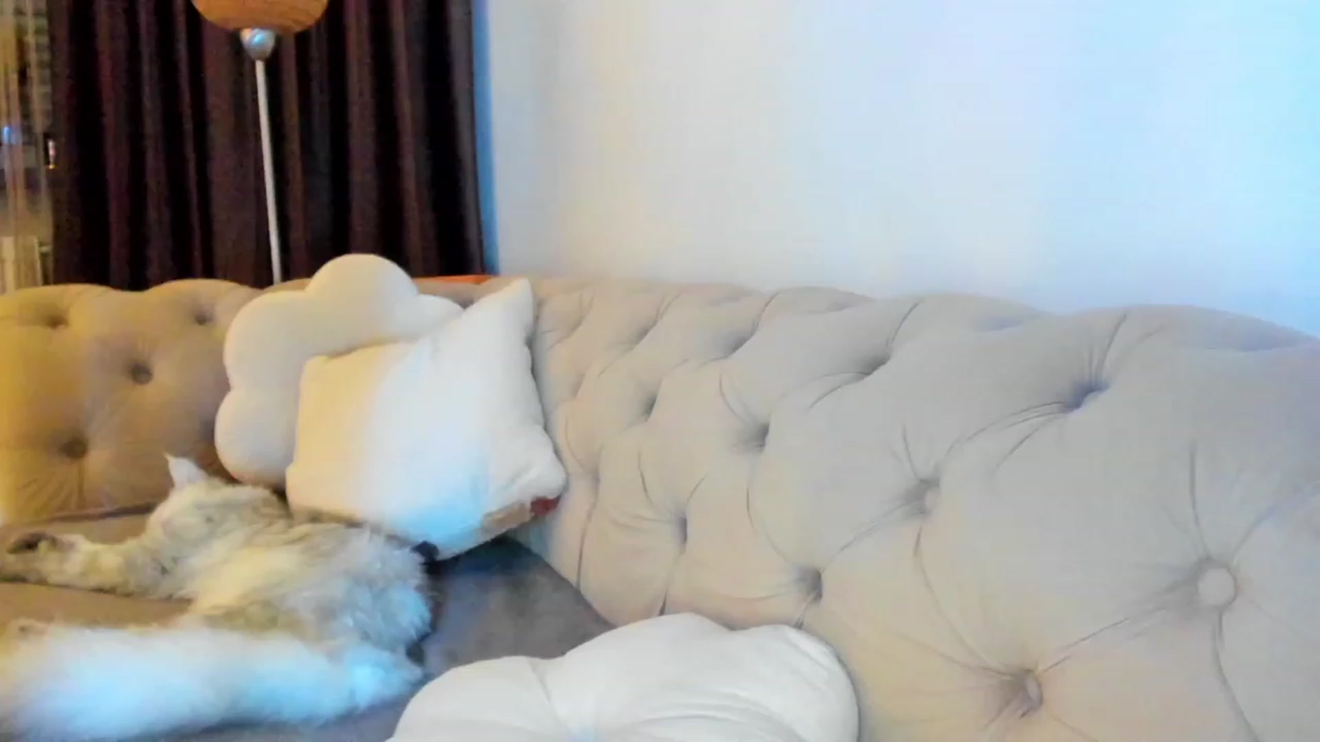 Gallery image thumbnail from Bee_Bee's myfreecams stream on, 01/28/2023, 22:37 image 6 of 20