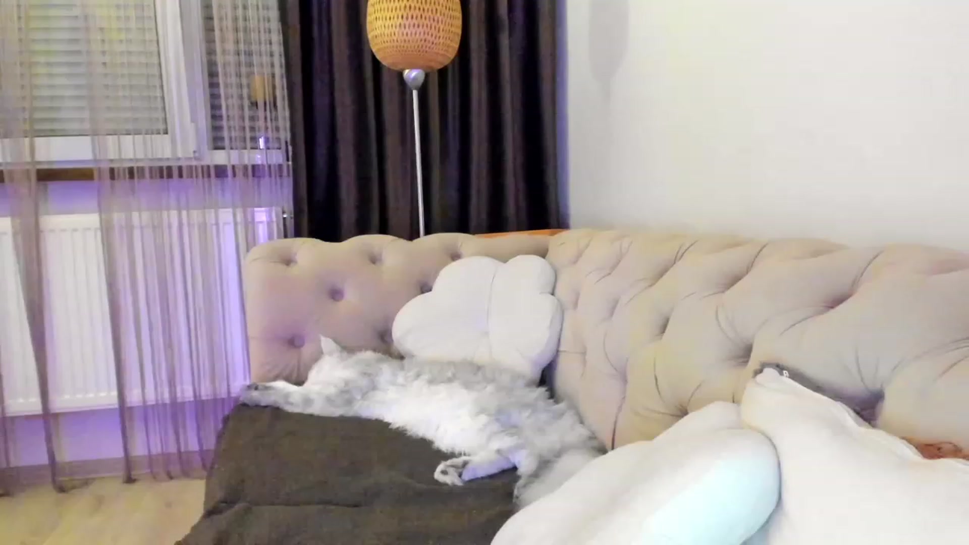 Gallery image thumbnail from Bee_Bee's myfreecams stream on, 01/30/2023, 22:36 image 1 of 20