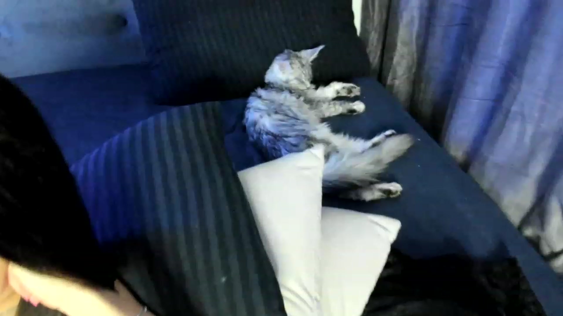 Gallery image thumbnail from Bee_Bee's myfreecams stream on, 02/04/2023, 23:37 image 4 of 20