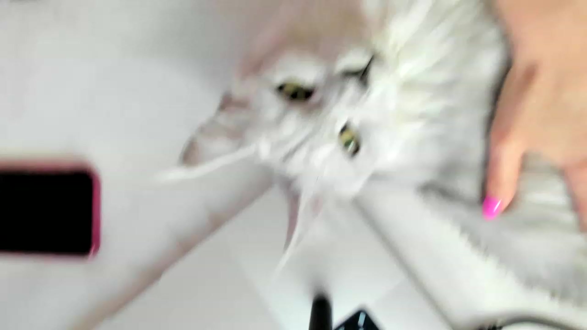 Gallery image thumbnail from Bee_Bee's myfreecams stream on, 02/05/2023, 23:28 image 10 of 20