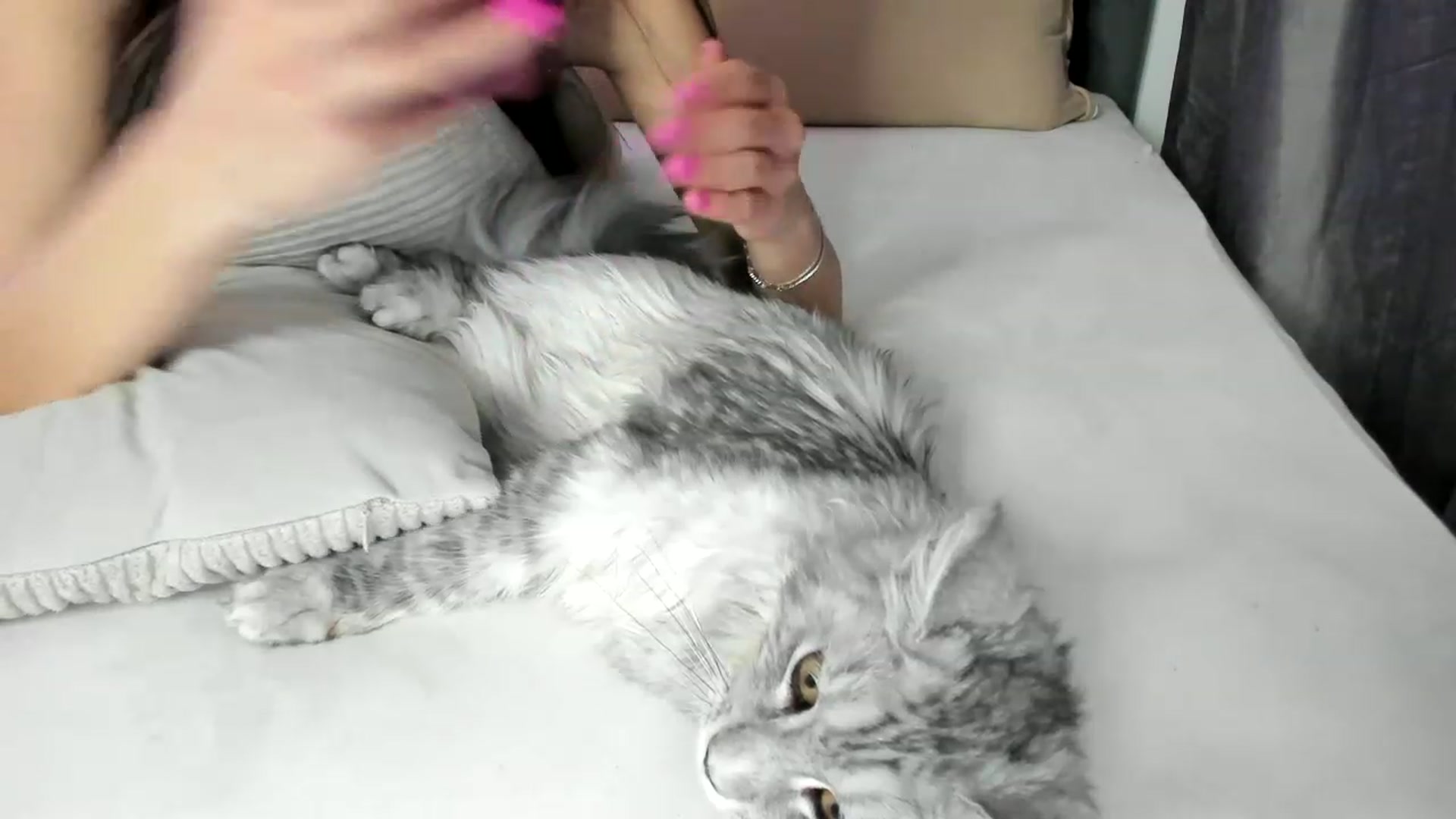 Gallery image thumbnail from Bee_Bee's myfreecams stream on, 02/05/2023, 23:28 image 17 of 20