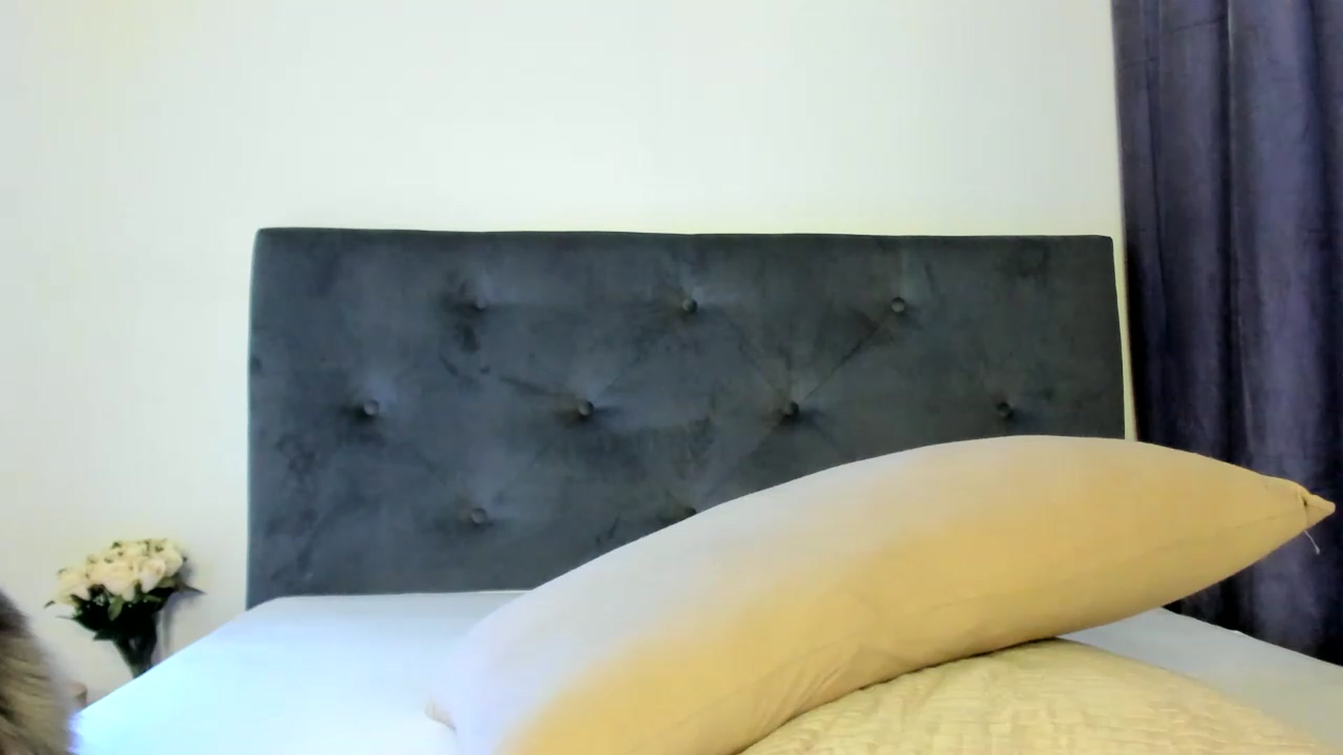 Gallery image thumbnail from Bee_Bee's myfreecams stream on, 02/11/2023, 22:16 image 10 of 20