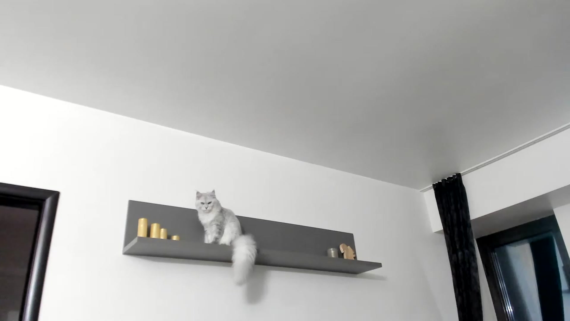 Gallery image thumbnail from Bee_Bee's myfreecams stream on, 02/24/2023, 23:28 image 16 of 20