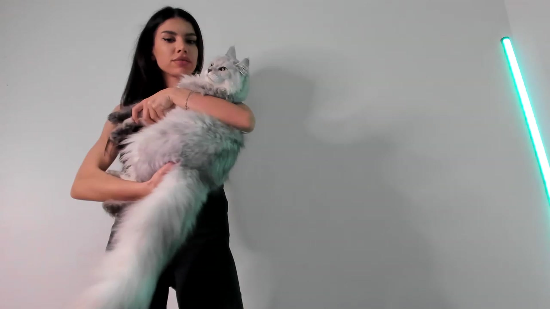 Gallery image thumbnail from Bee_Bee's myfreecams stream on, 02/25/2023, 23:54 image 10 of 20