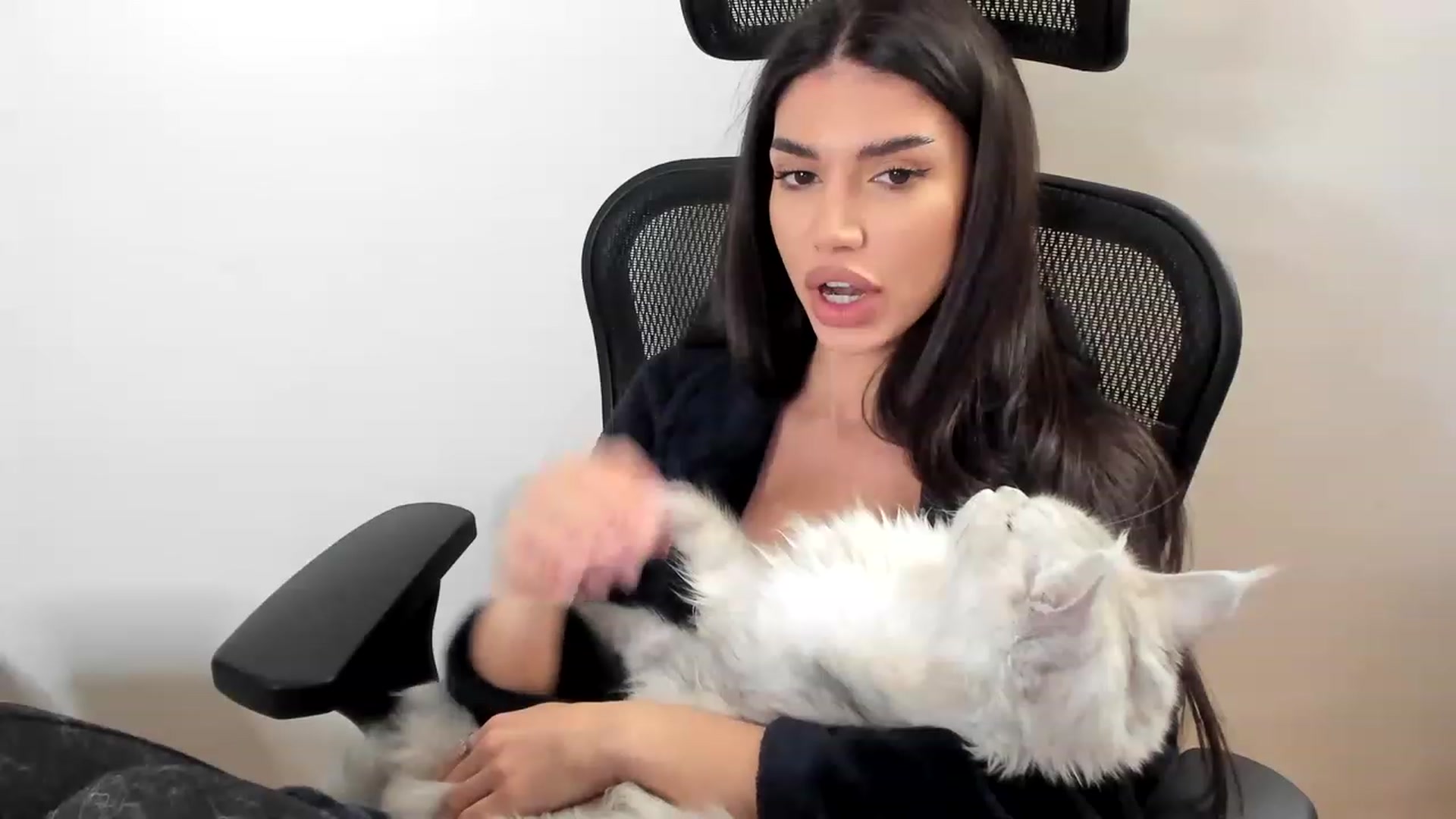 Gallery image thumbnail from Bee_Bee's myfreecams stream on, 03/13/2023, 20:25 image 13 of 20