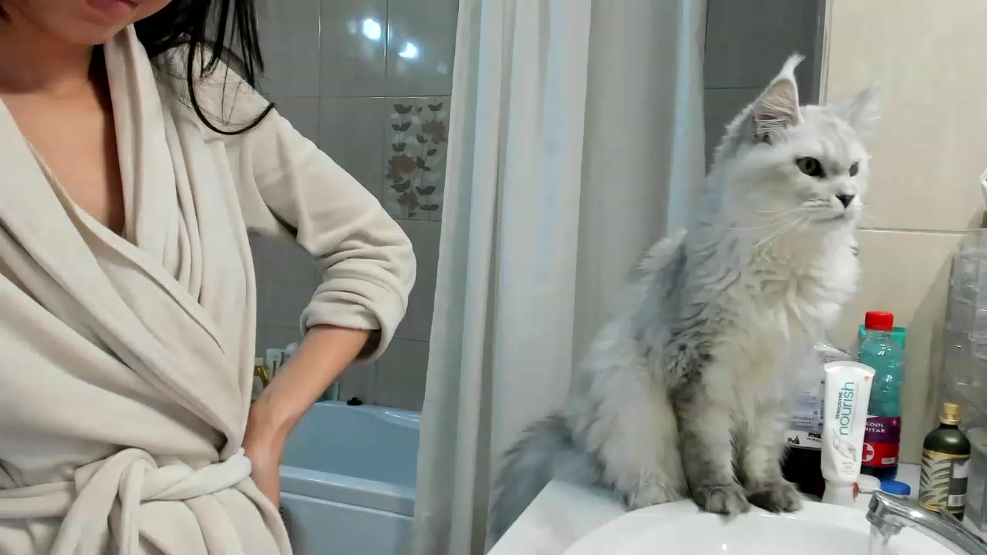 Gallery image thumbnail from Bee_Bee's myfreecams stream on, 03/14/2023, 22:19 image 2 of 20